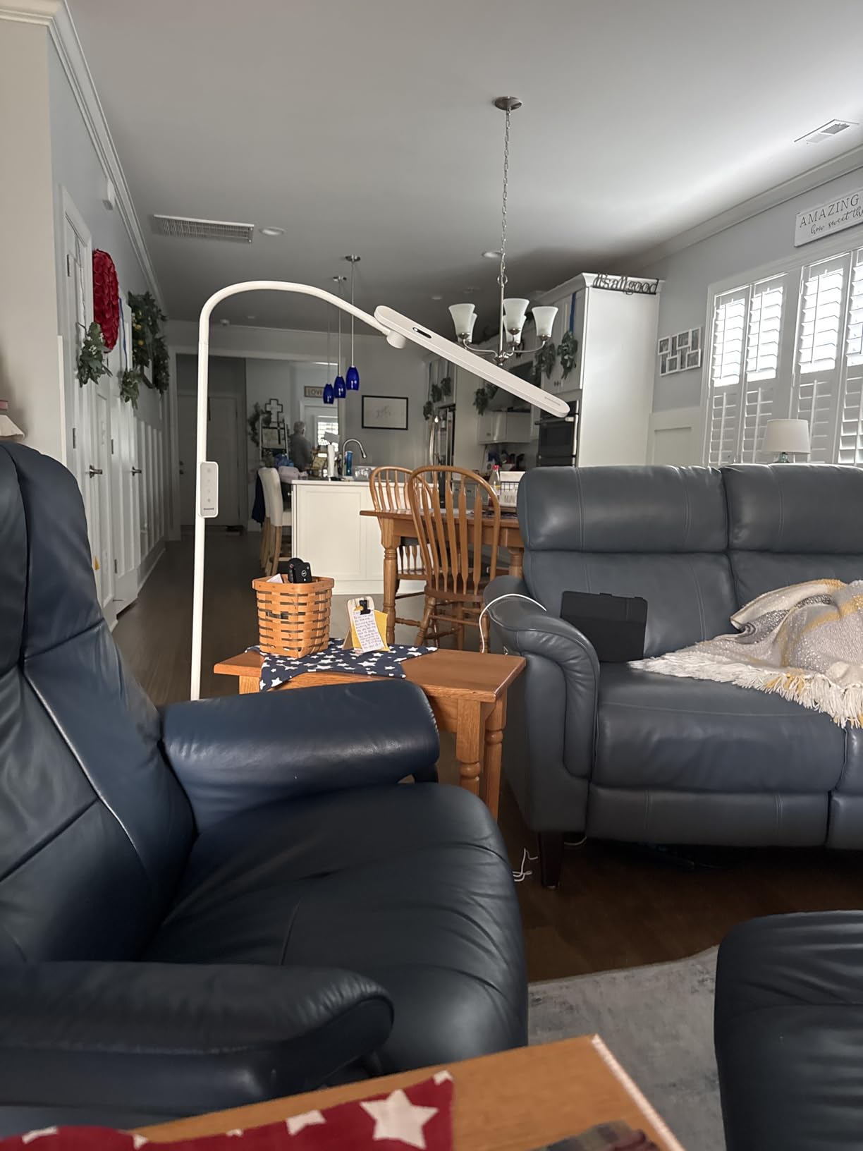 Honeywell LED Floor Lamp for Reading CRI97 Full Spectrum Dimmable Gooseneck customer photo 2