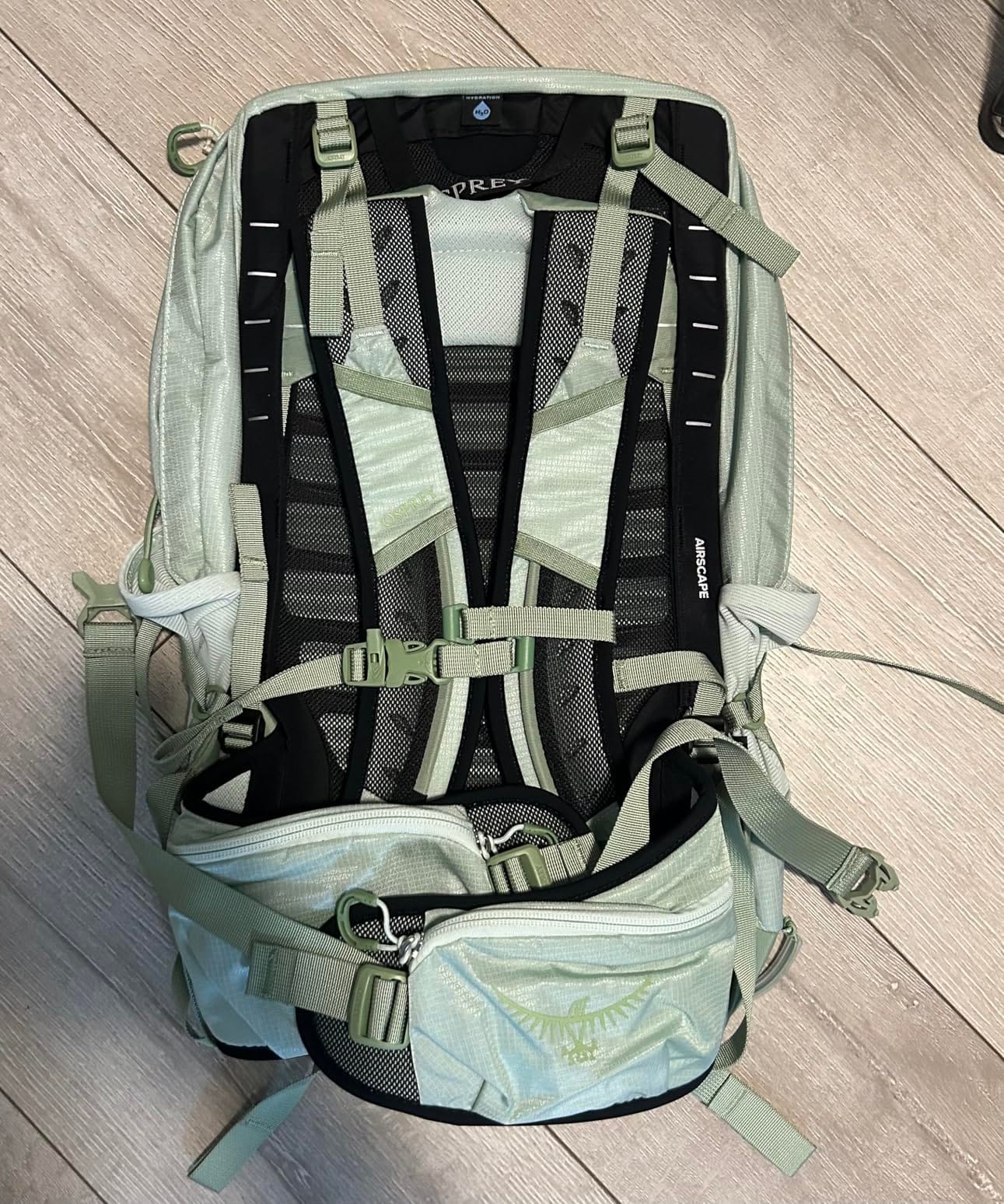 Osprey Tempest 22L Women's Lightweight Hiking Backpack customer photo 1