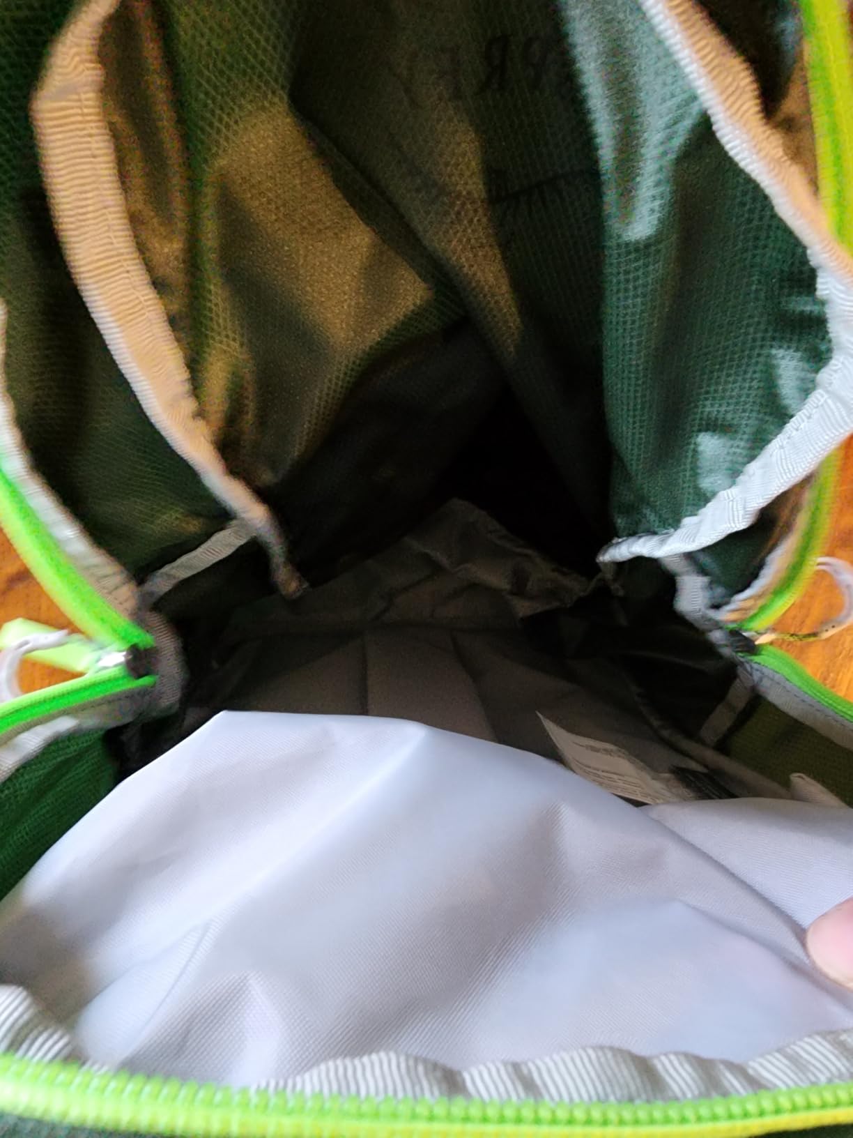 Osprey HydraJet 12L Kids' Hiking Backpack with Hydraulics Reservoir, Green Canopy customer photo 2