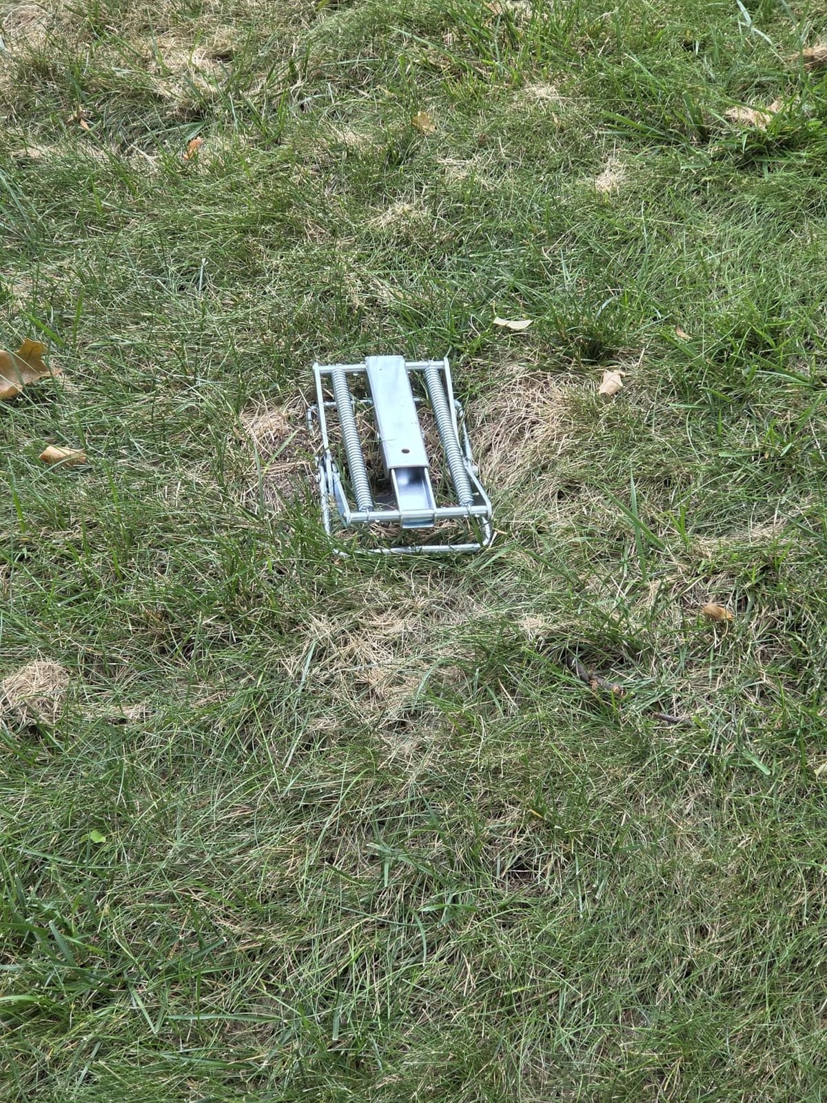 YARDDOG Mole Traps that Kill Best - Mole Scissor Trap Steel (Single Pack) | Easy to use, Step-to-set design. Durable commercial-grade steel construction built for lawns and gardens. customer photo 1