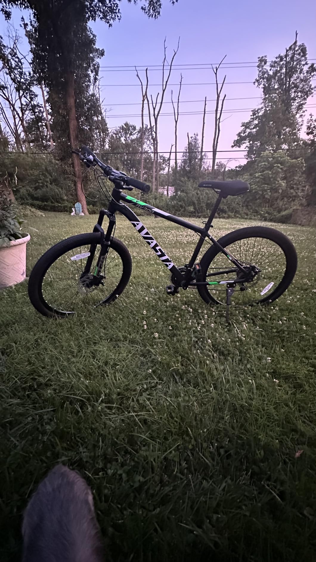 AVASTA AV300 26 27.5 Inch Mountain Bike MTB for Adult Man Women Male | Lightweight Aluminum Alloy Frame, Dual Disc Brakes, Front Suspension, 21-Speed Gear Shifter, Half Hidden Brake Cables customer photo 1
