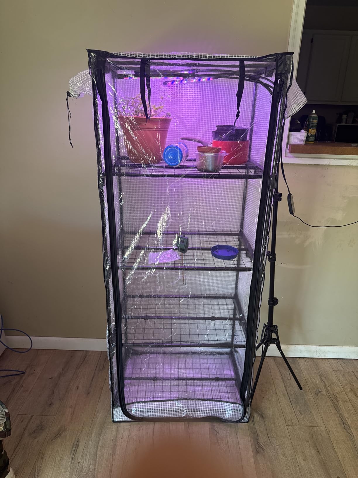 Mushroom Grow Tent | Martha Tent, Small Greenhouse for Indoor, Fruiting Chamber, Fits Monotub customer photo 1