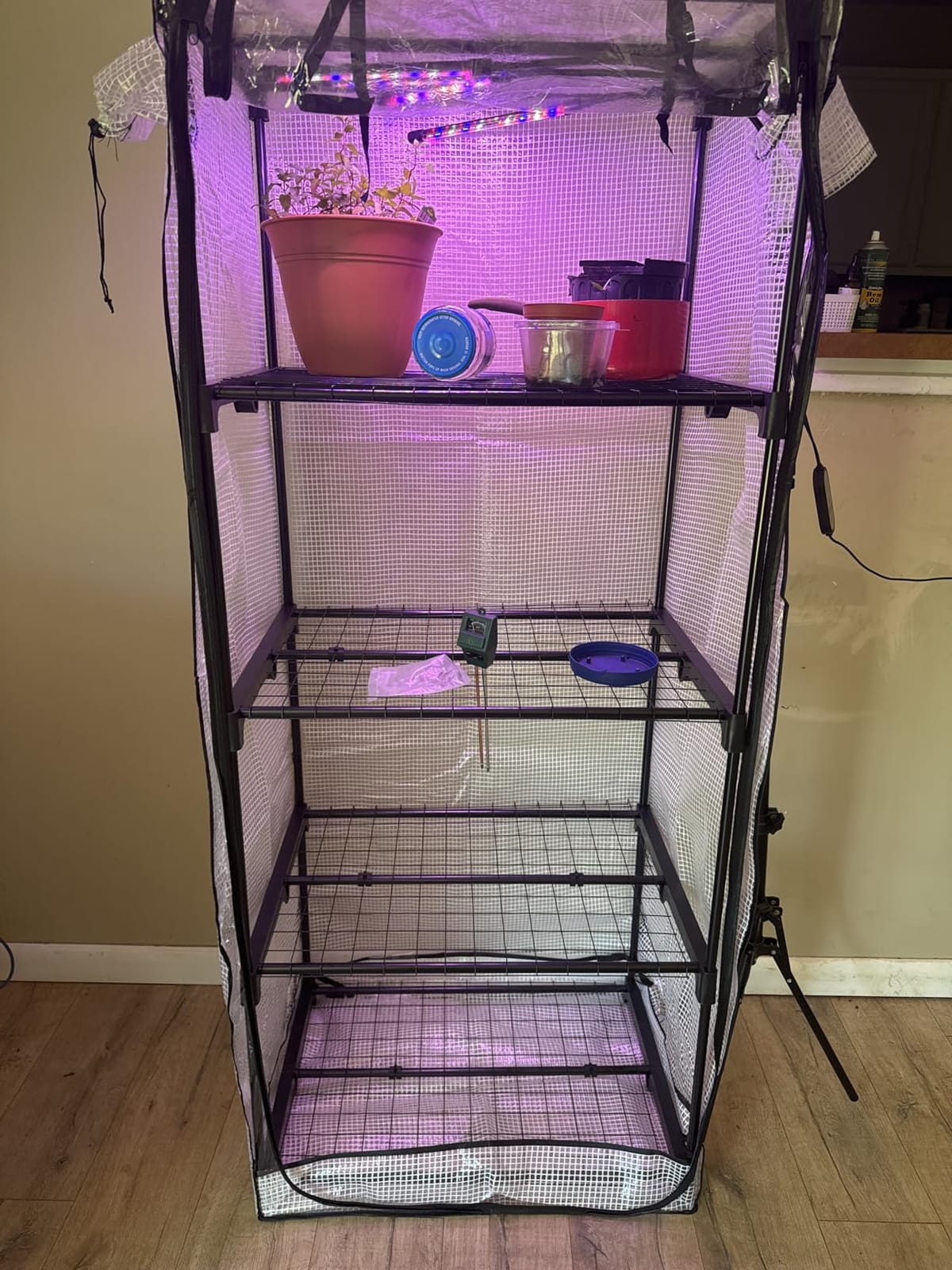 Mushroom Grow Tent | Martha Tent, Small Greenhouse for Indoor, Fruiting Chamber, Fits Monotub customer photo 2