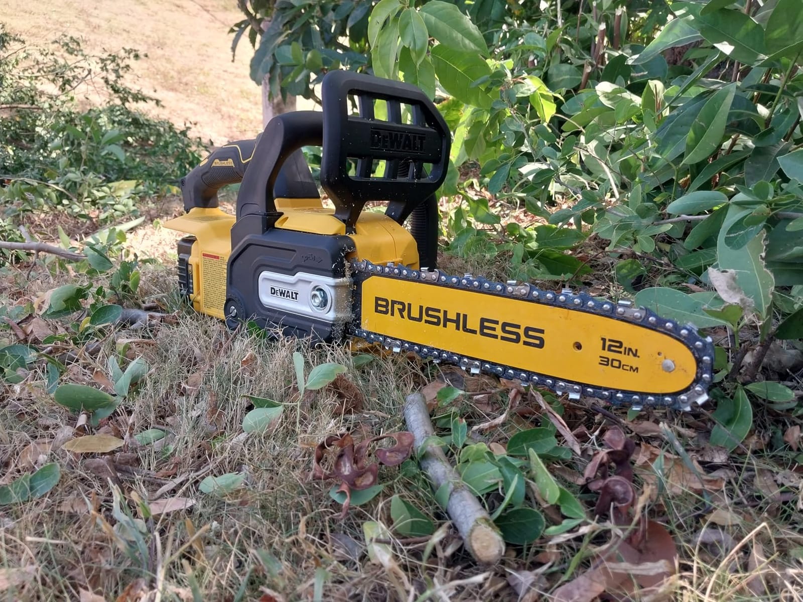 DEWALT 20V MAX 12 in. Cordless Chainsaw, Bare Tool Only (DCCS621B) customer photo 1