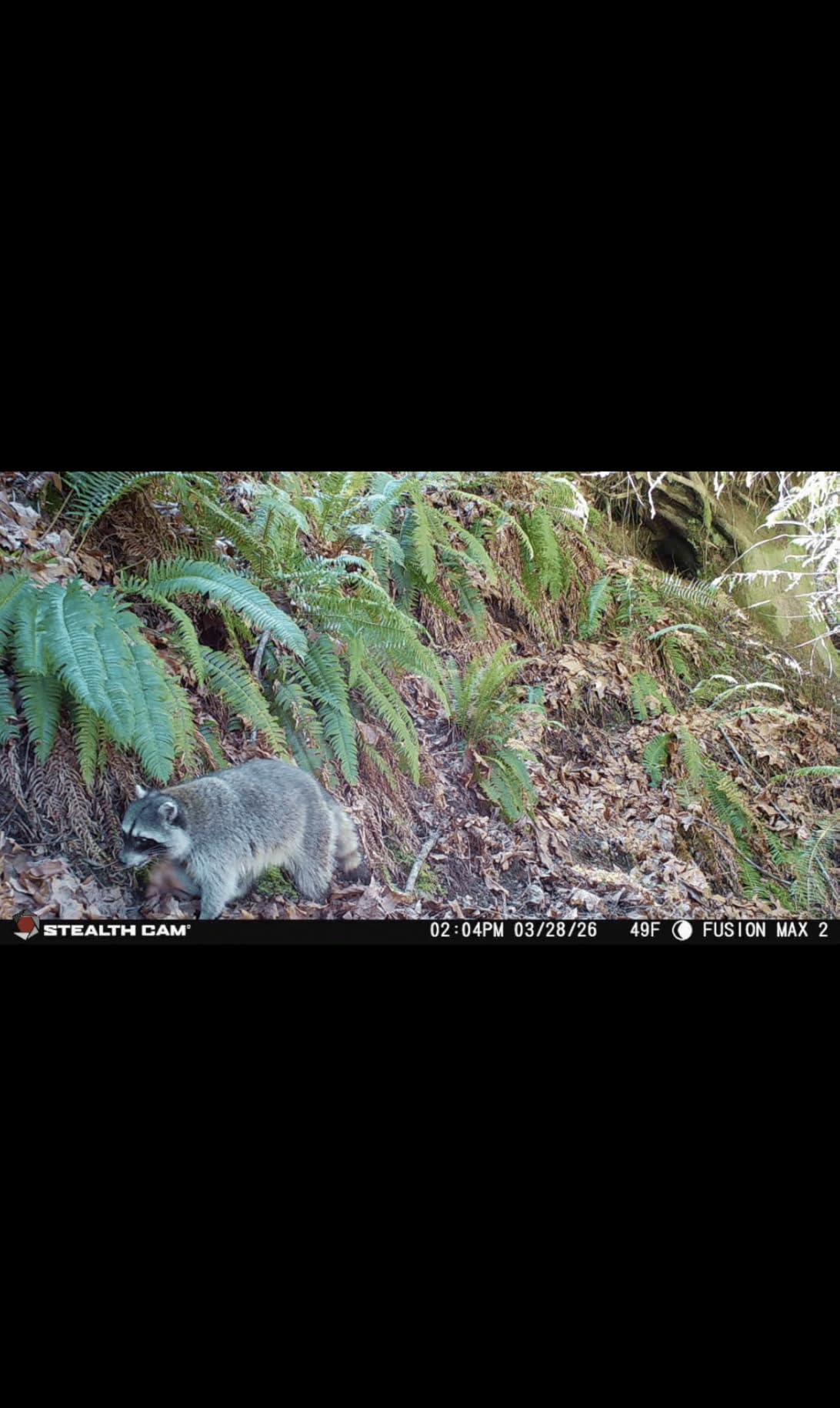 Stealth Cam Fusion Max 2.0 Cellular Trail Camera 36MP | 16GB Internal Memory customer photo 2