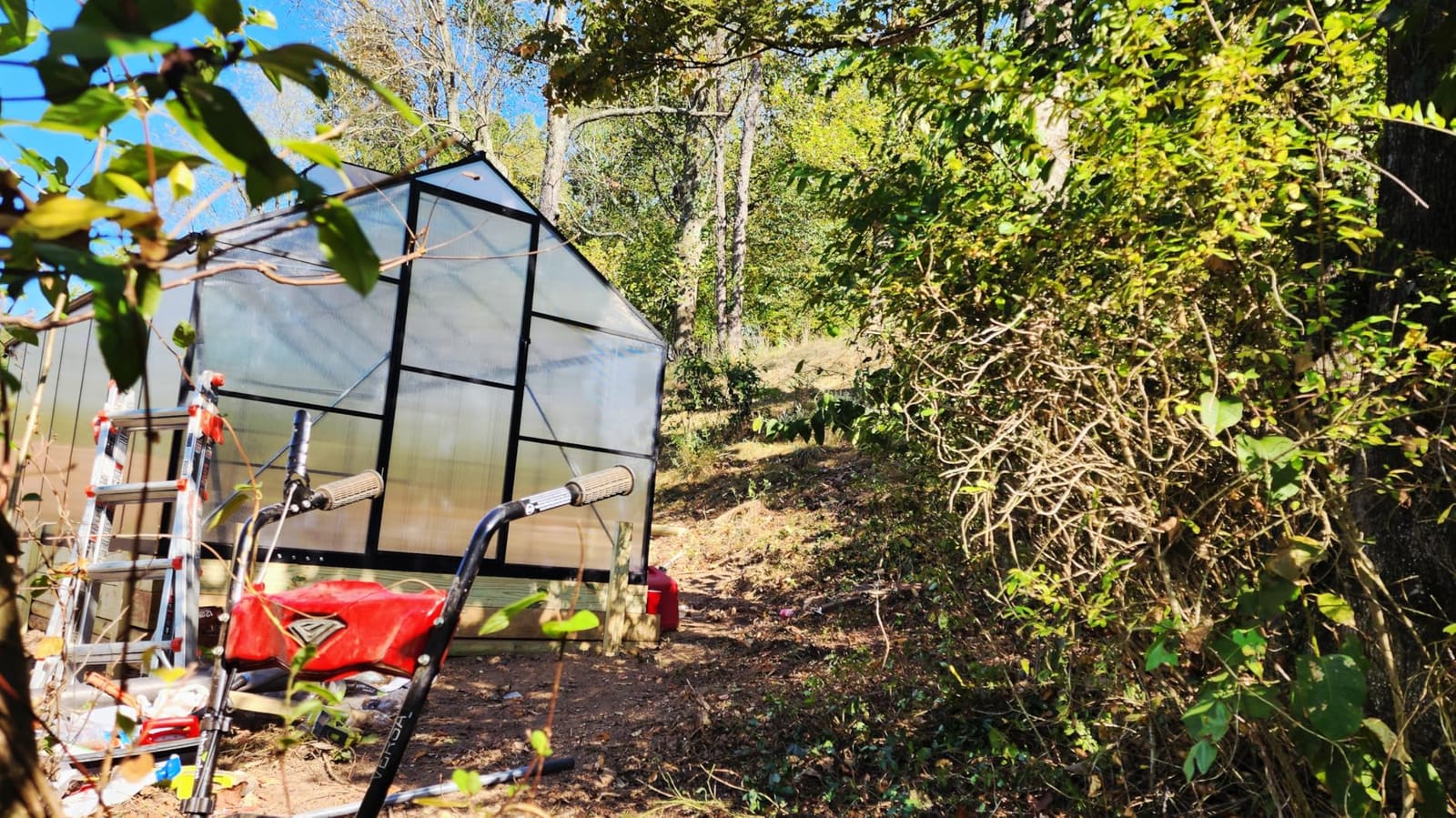 8x10 FT Greenhouse with Hygrometer, Windproof Warm Plant Green Houses | Heavy Duty Aluminum Frame Polycarbonate Greenhouses with Drainage Channel Roof Vent for Backyard or Garden Use customer photo 2