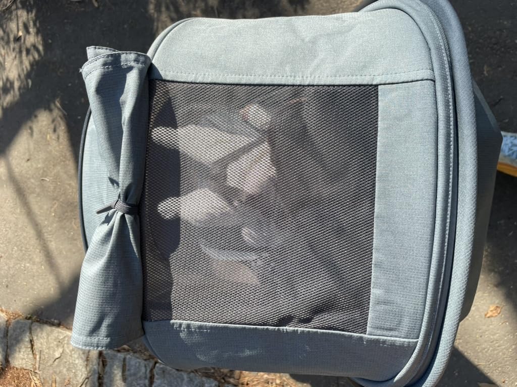 UPPAbaby Minu V3 Travel Stroller - Lightweight + Compact Design - One-Hand Fold + Unfold - from Birth + Overhead Compatible - Greyson (Charcoal Mélange/Carbon Frame/Saddle Leather) customer photo 2