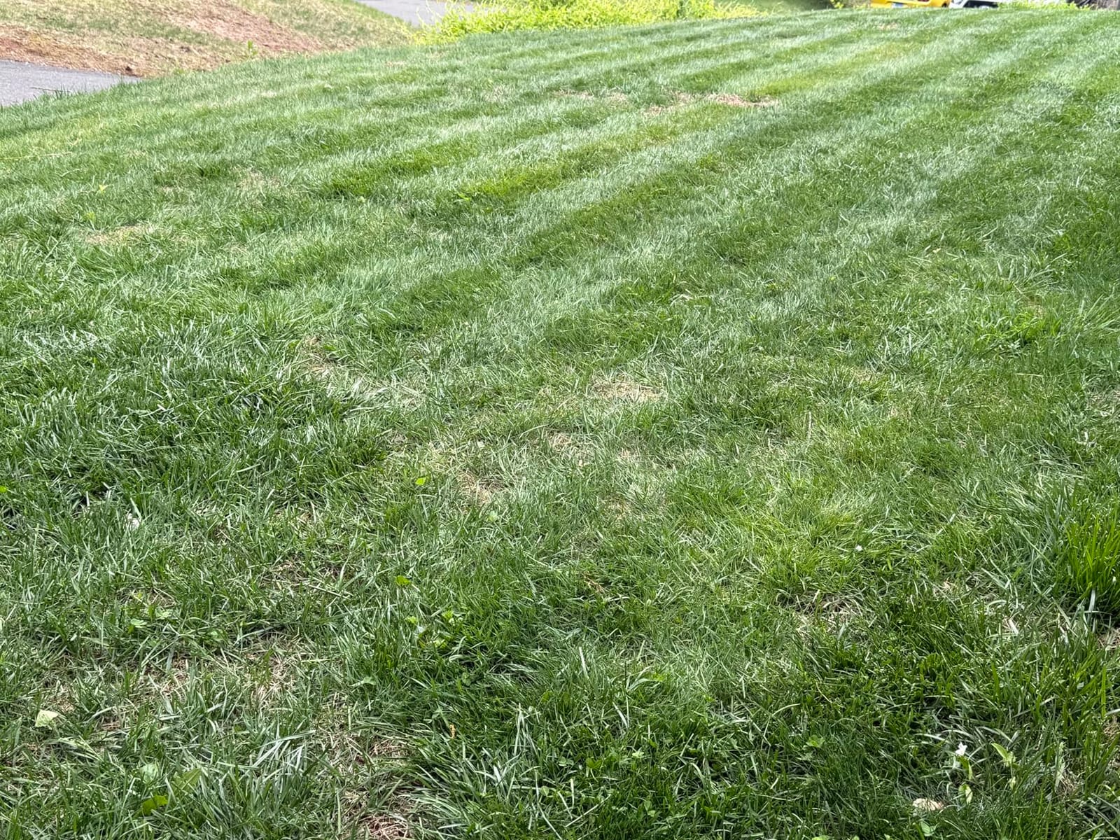 Mammotion LUBA 2 AWD 5000HX Robot Lawn Mower with 4G, Reception 1.25 Acres, Max. 1.48 Acres, All-Wheel-Drive for 80% Slope, UltraSense AI Vision & RTK Automatic Edge Mapping, 2.2
