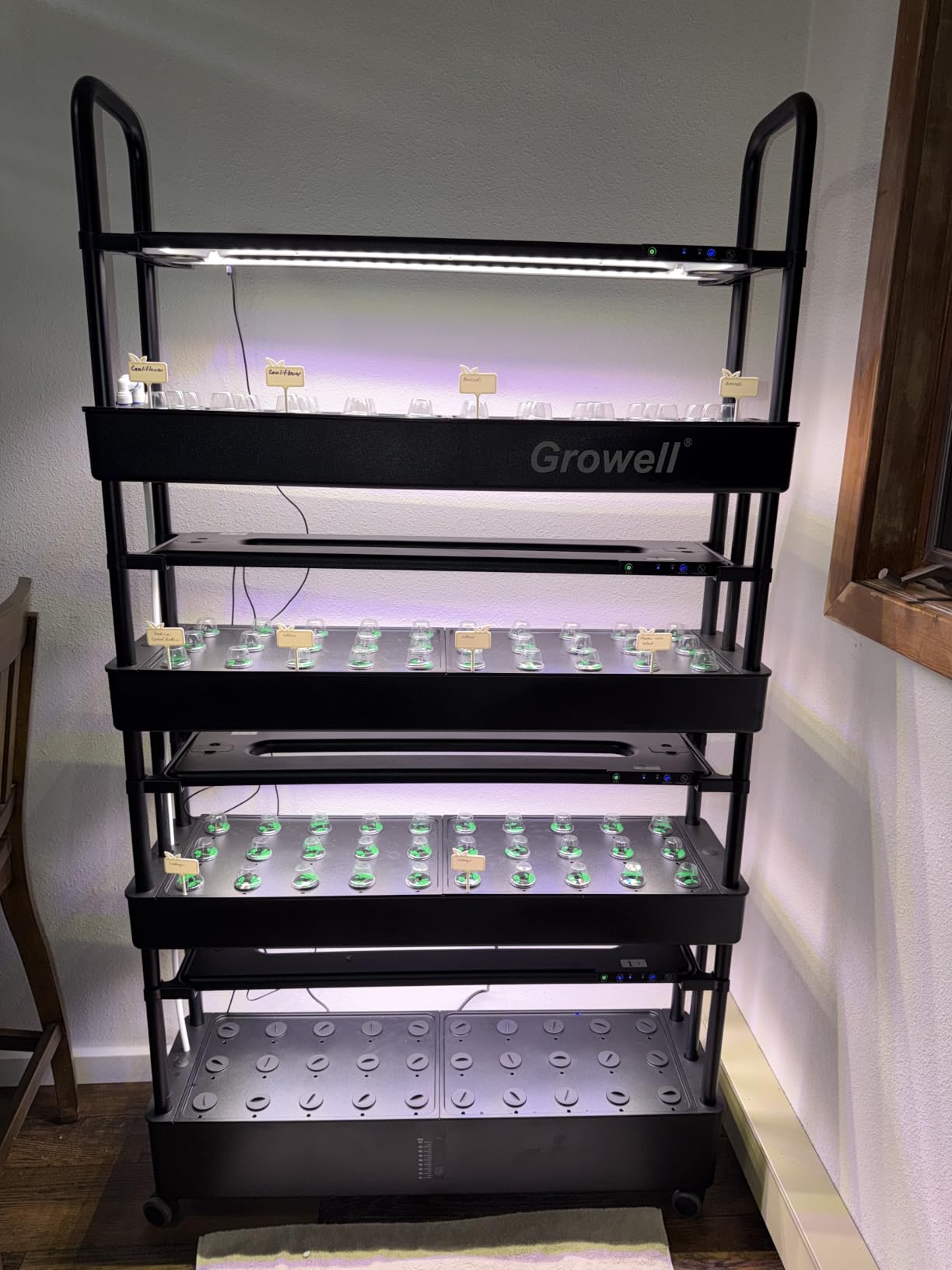 Growell Large Hydroponics Growing System Kit, 90 Pods Vertical Hydroponic Garden with 2 Light Modes Grow Light, Auto Circulating Water System, 40L Indoor Gardening System for Herb Vegetable Fruit customer photo 1
