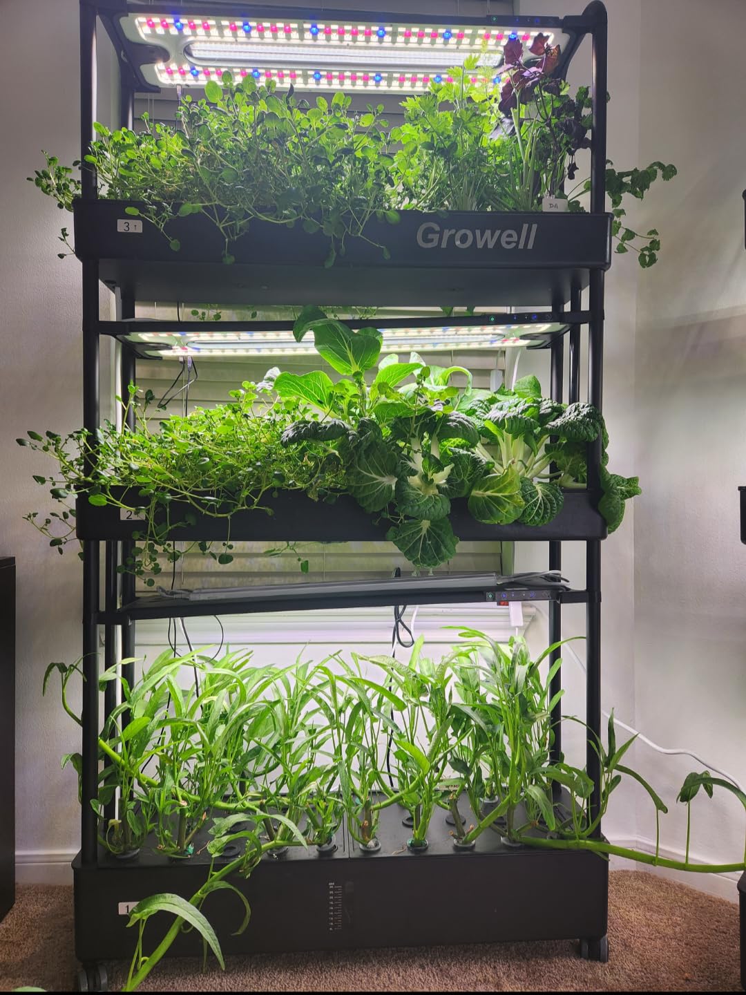 Growell Large Hydroponics Growing System Kit, 90 Pods Vertical Hydroponic Garden with 2 Light Modes Grow Light, Auto Circulating Water System, 40L Indoor Gardening System for Herb Vegetable Fruit customer photo 2