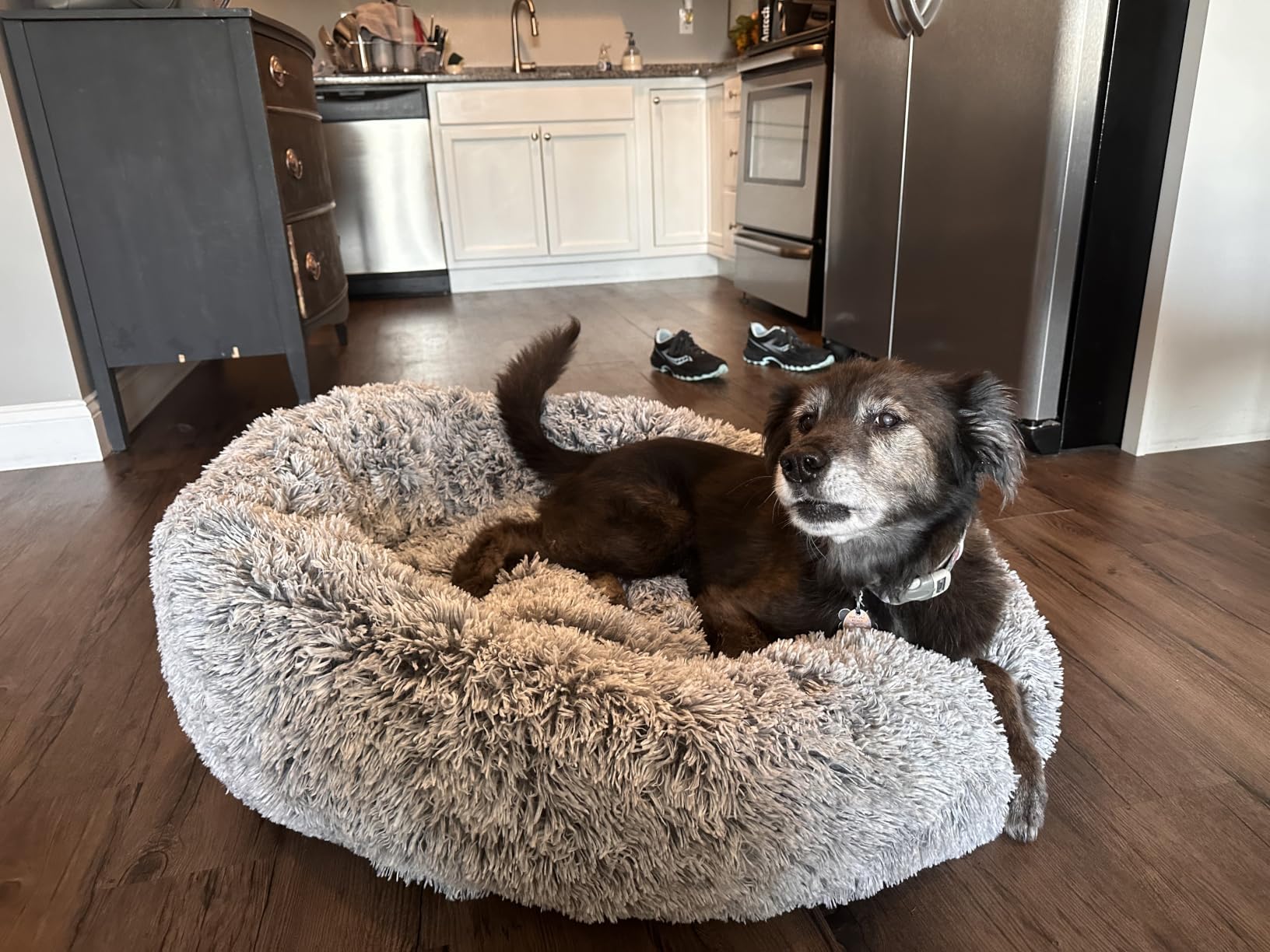 36 inches Faux Fur Fluffy Donut Dog Bed for Large Dogs, Dark Grey | Calming Plush Round Pet Bed with Removable & Washable Cover, Fits up to 80 lbs Pets customer photo 1