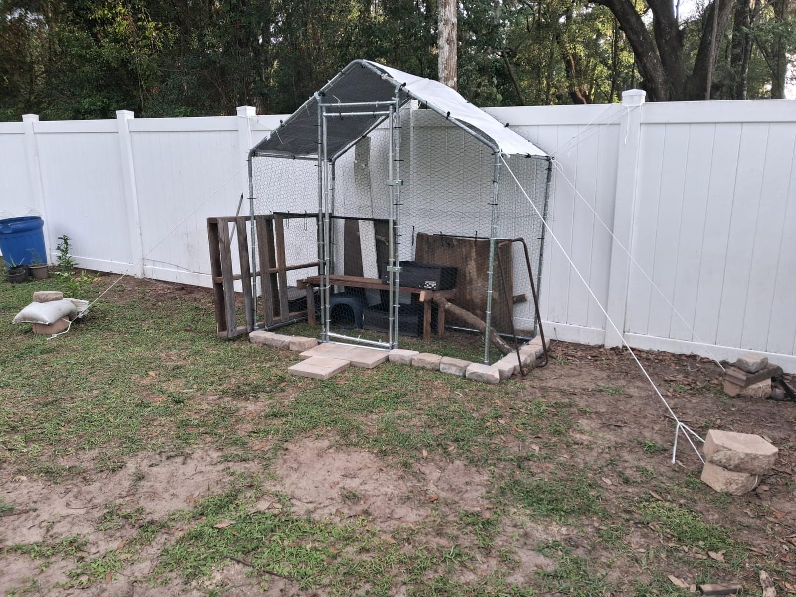 VEVOR Metal Chicken Coop, 6.56x6.56x6.56ft Large Walk-in Chicken Runs with Cover, Spire Roof Hen House Enclosure with Security Lock, Outdoor Duck Rabbit Cage Poultry Pen for Backyard, Farm, Yard customer photo 1