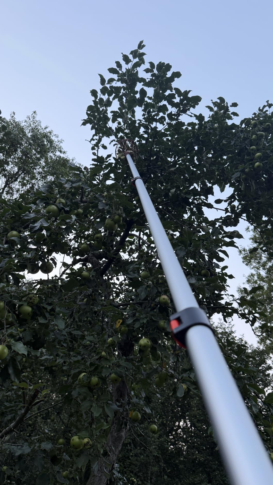 LAANPOLE 26FT Reach Fruit Picker Pole with Basket Telescoping, Apple Picker with 5-20FT Telescoping Pole customer photo 1