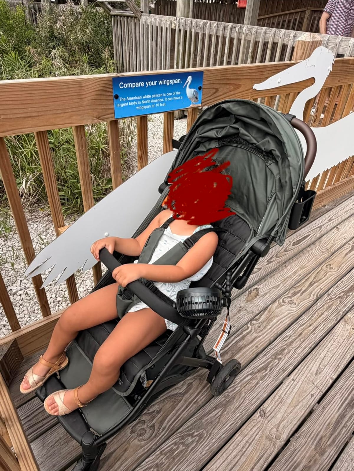 Ingenuity 3Dquickclose CS+ Compact Fold Stroller - Lightweight Stroller with Oversized Canopy, Extra-Large Storage and Compact Fold, Black customer photo 2