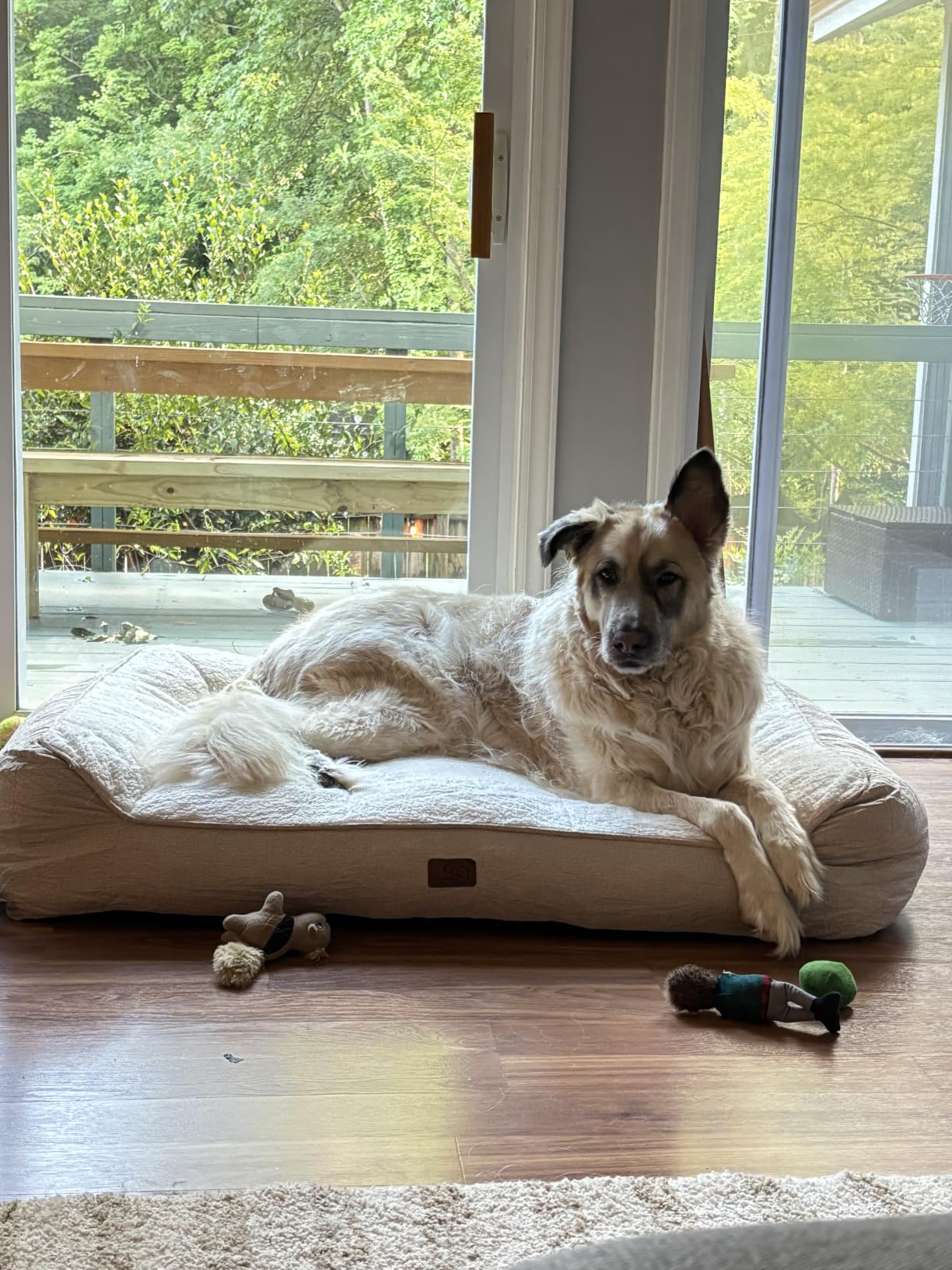 Bedsure SupportMax Extra Thick Orthopedic XL Dog Beds Large Sized Dog | 42