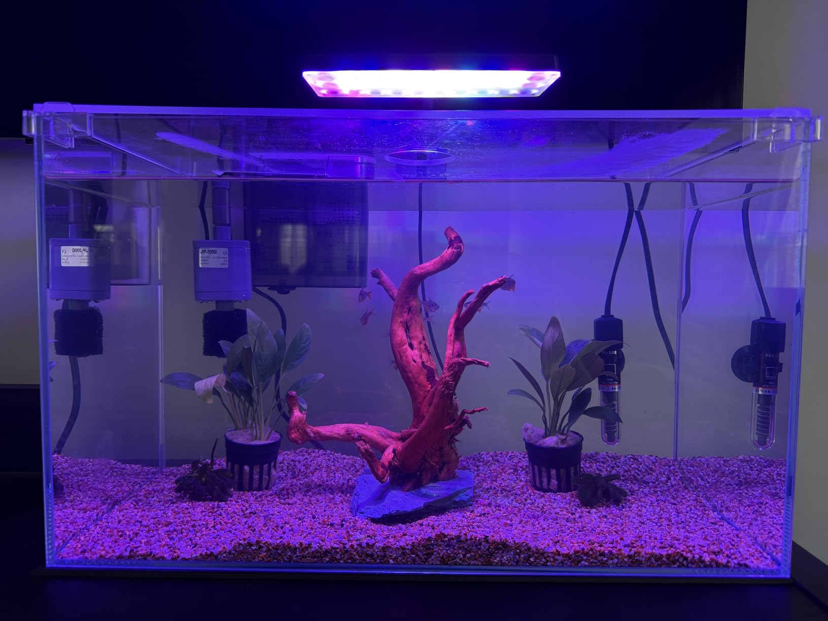 Vimvins 3 Gallon Glass Small Fish Tank, Betta Fish Tank Starter Kit with Filter, Lights,Lid. customer photo 2