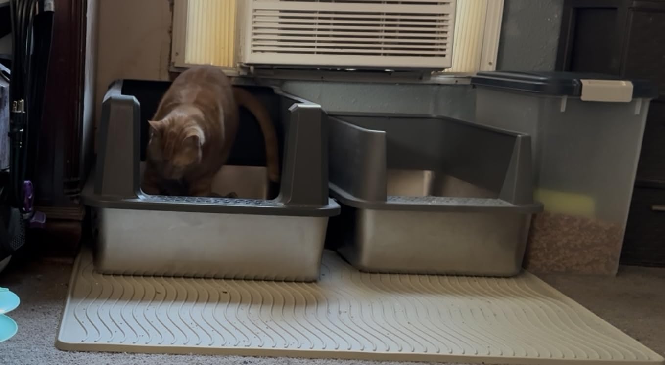 Stainless Steel Cat Litter Box with Lid, XXXL 26x18x12 customer photo 1