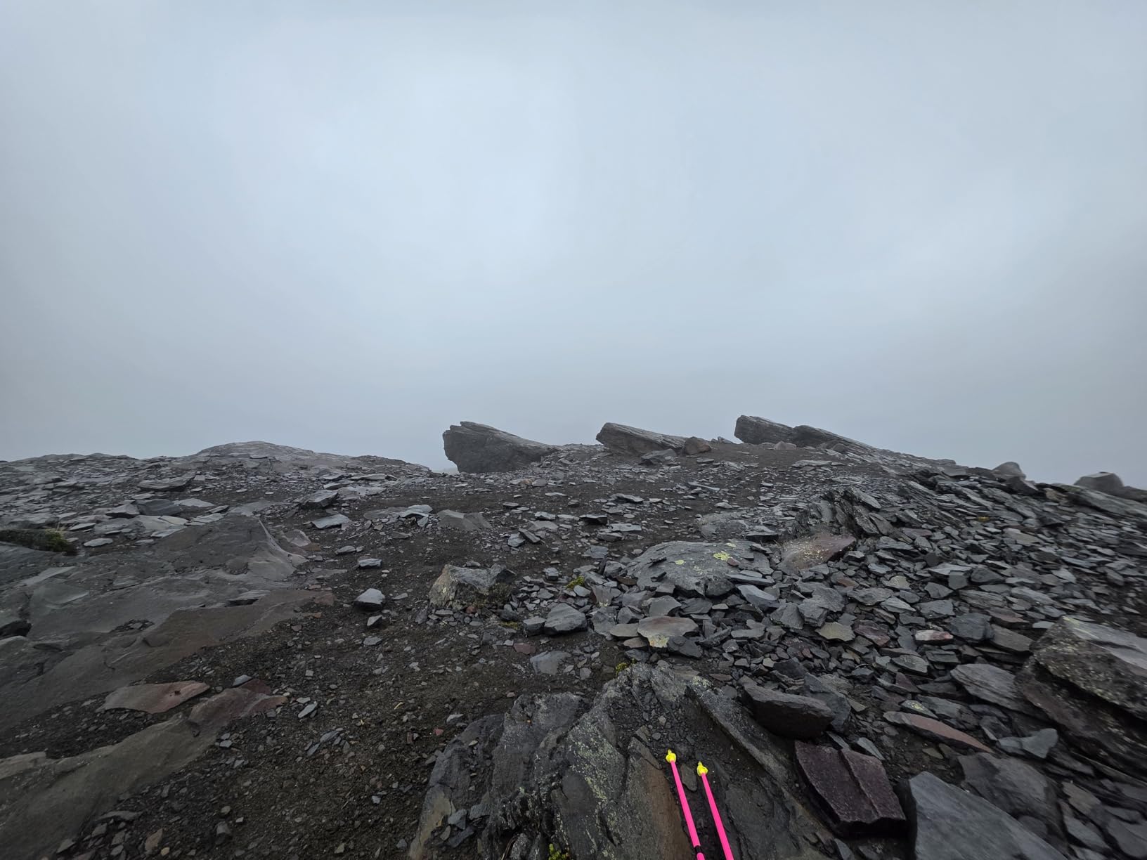 LEKI Ultratrail FX.One Trekking Poles | Carbon, Foldable, Ultralight Trail Running & Hiking Sticks customer photo 2