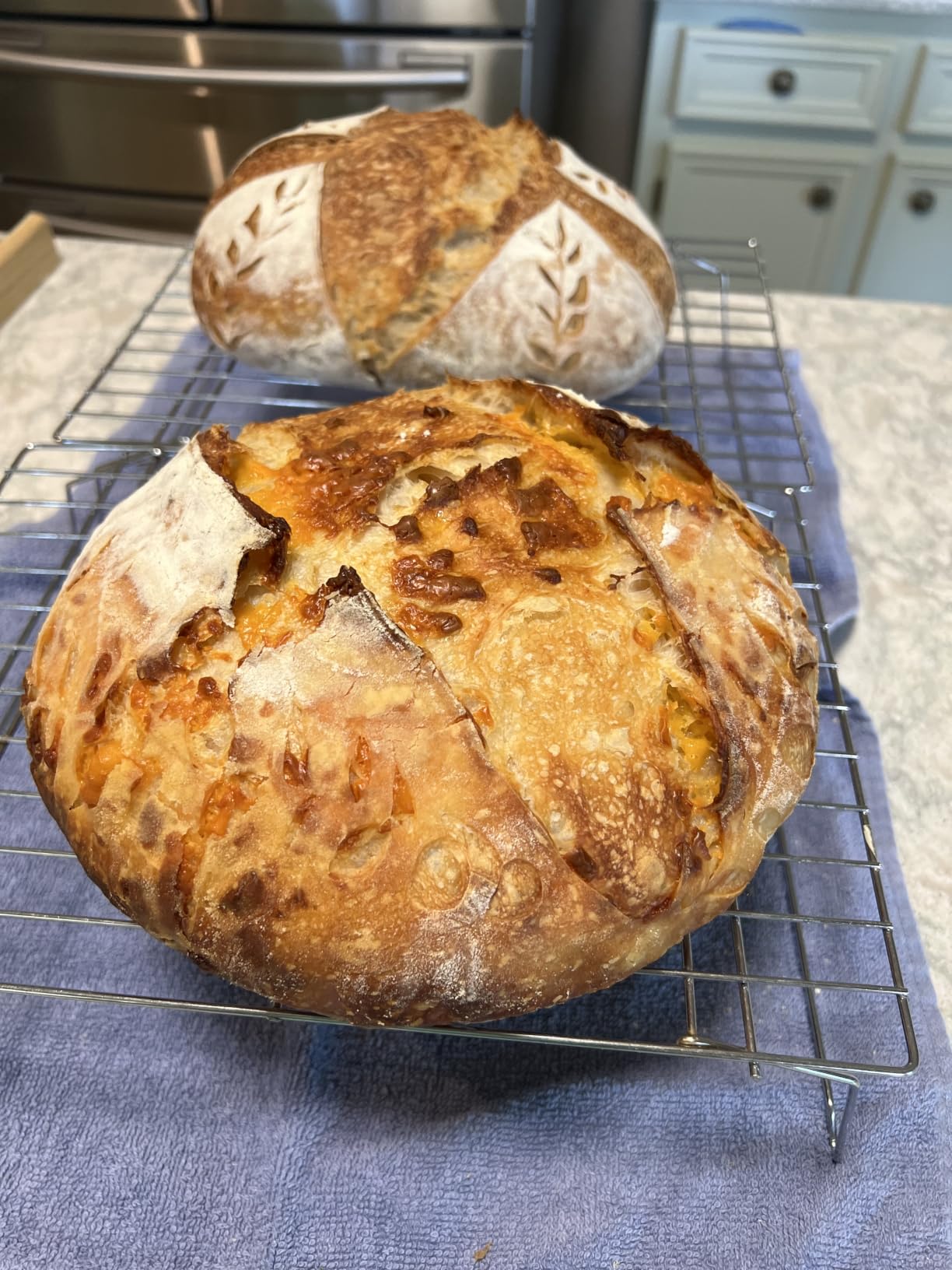 Wood Pulp Banneton Bread Proofing Baskets Set of 2, 9 Inch Round 2.2LB Sourdough Banneton Basket with Liner, Non-Stick Dough Proofing Bowl for Rising and Baking customer photo 1