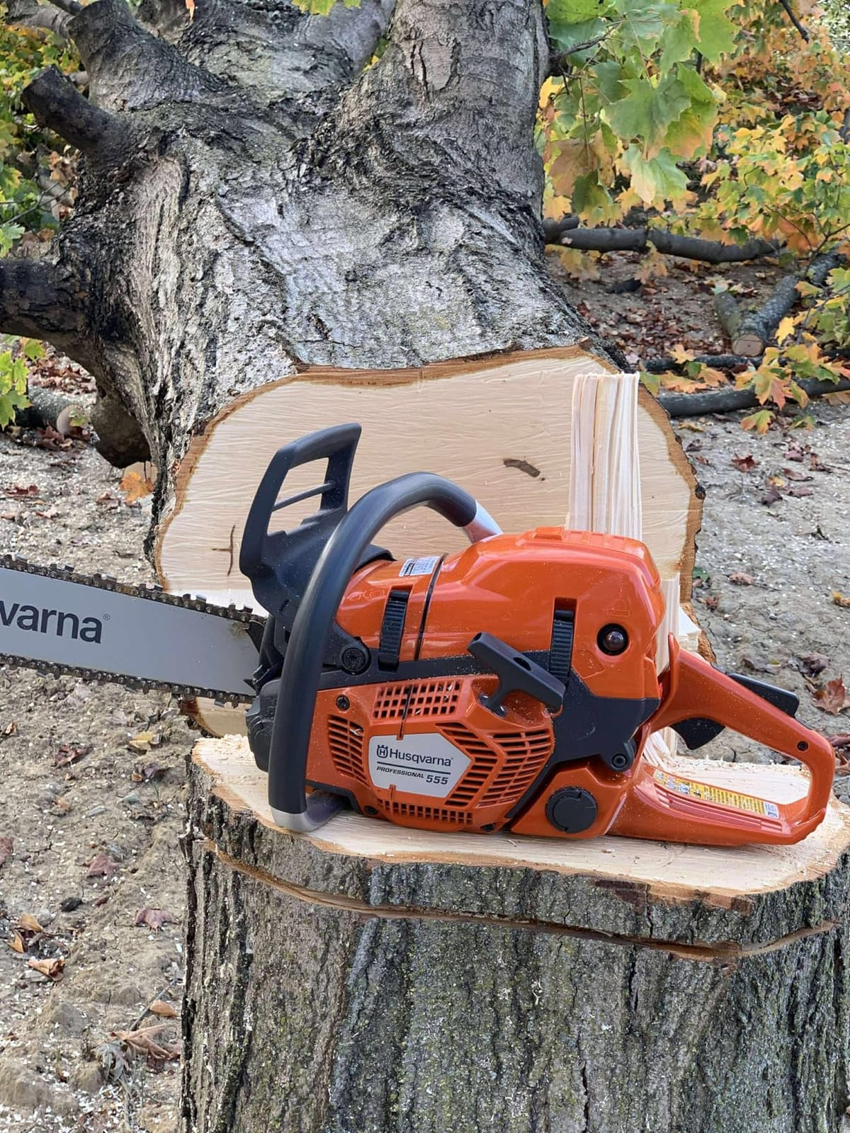 Husqvarna 555 Professional Gas Chainsaw, With X-Cut Chain, 24 inches, 59.8-cc, 4.16 HP customer photo 2