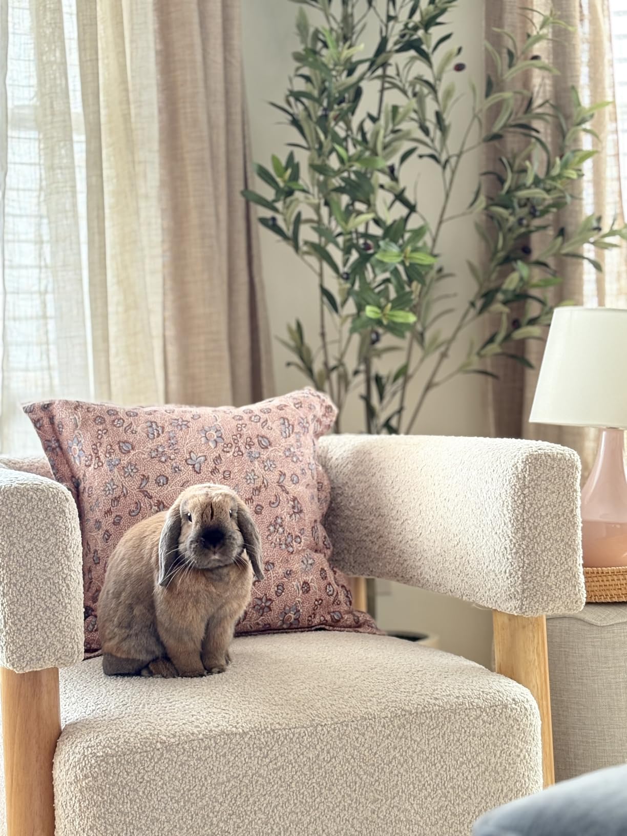 Christopher Knight Home Carly Low Profile Accent Chair, Round Backrest Side Chair, Living Room Armchair with Boucle Fabric Cushion, Comfy Reading Chair for Bedroom, Wooden Single Lounge Sofa, Light Camel customer photo 2