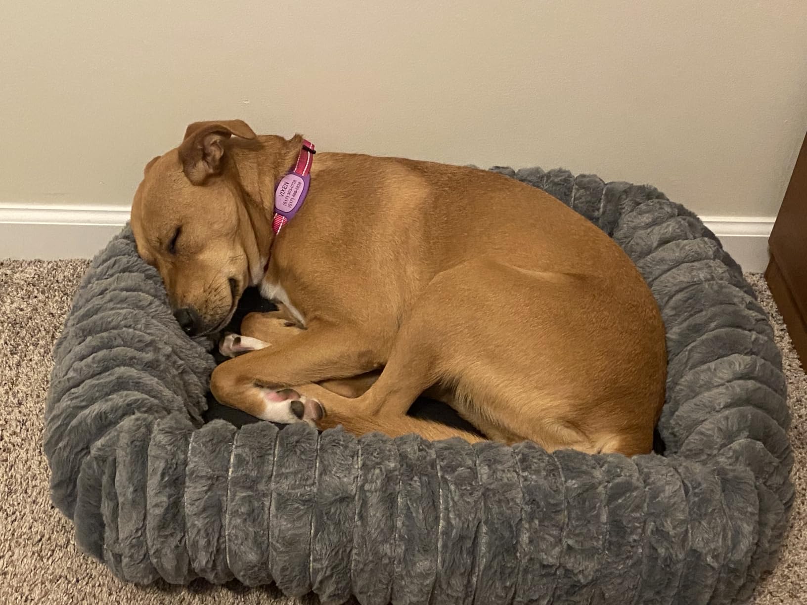 FURTIME Dog Bed for Small Medium Dog, Washable Orthopedic Pet Bed with Removable Cover, Rectangle Soft Calming Sleeping Puppy Bed Durable Pet Cuddler with Anti-Slip Bottom, Grey, M (25x21x7) customer photo 1