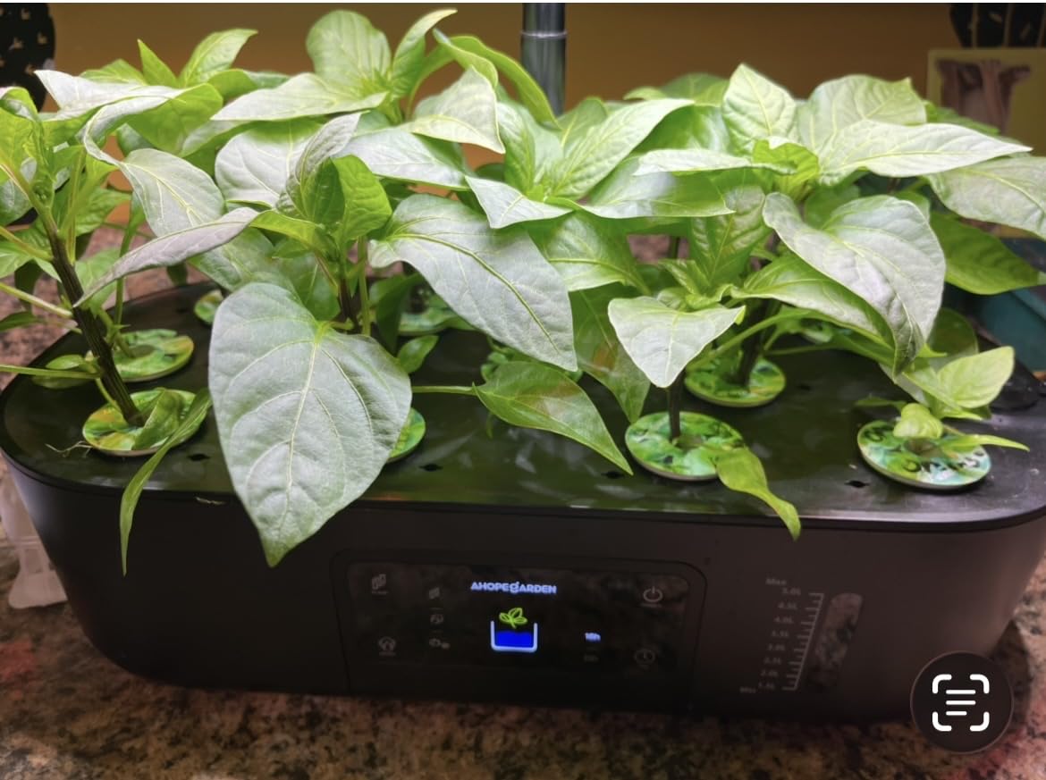 Ahopegarden Hydroponics Growing System: 12 Pods with Touch Control Panel | Indoor Herb Garden with Grow Light, Adjustable Height Up to 17