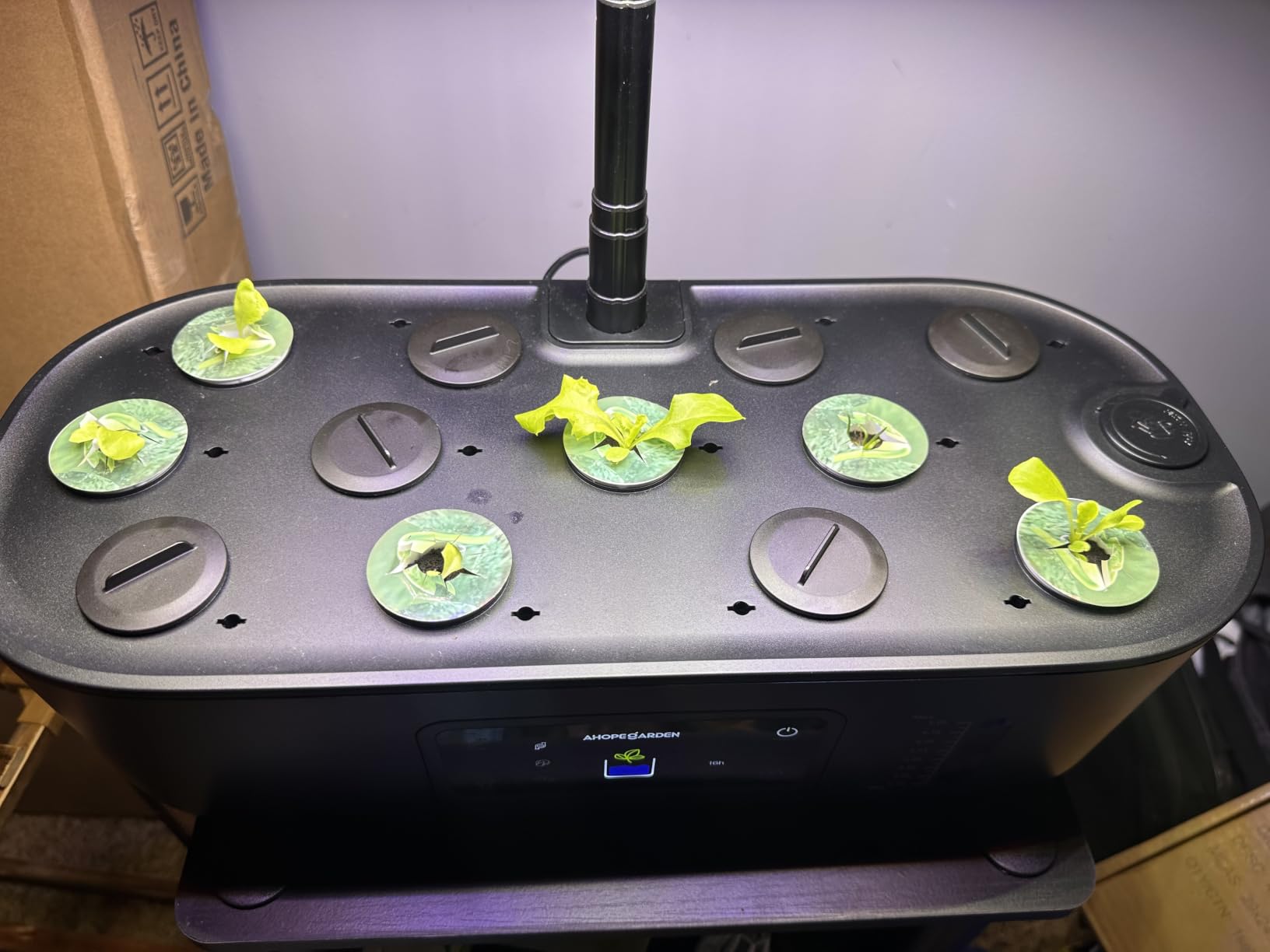 Ahopegarden Hydroponics Growing System: 12 Pods with Touch Control Panel | Indoor Herb Garden with Grow Light, Adjustable Height Up to 17