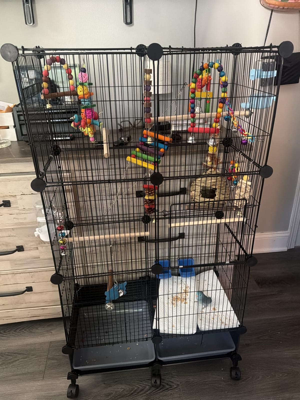 VISCOO Upgraded Encrypted Metal 46-Inch Bird Cage for Parrot Parakeets | Parakeet Cage with Wooden Perches, Slide-Out Tray, Water Bottle&Feeder for Cockatiel,Lovebird,Small Mid-Sized Birds customer photo 1