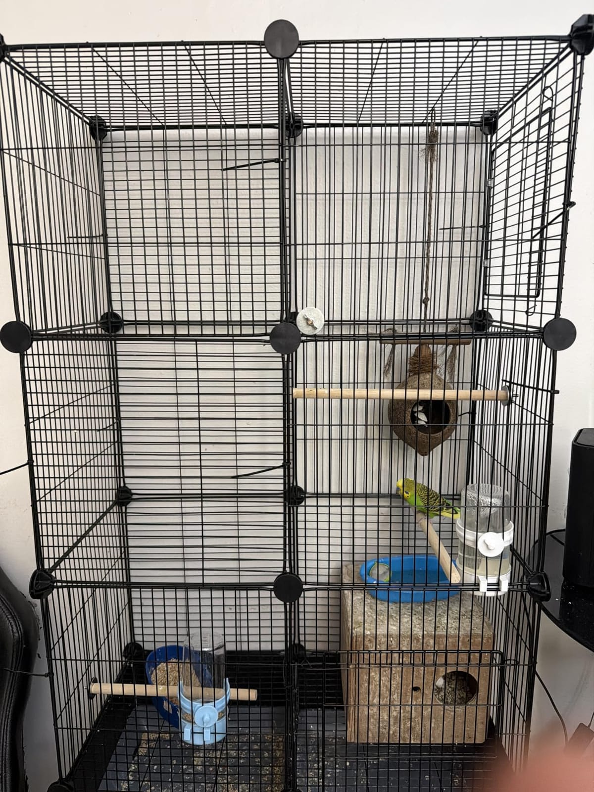 VISCOO Upgraded Encrypted Metal 46-Inch Bird Cage for Parrot Parakeets | Parakeet Cage with Wooden Perches, Slide-Out Tray, Water Bottle&Feeder for Cockatiel,Lovebird,Small Mid-Sized Birds customer photo 2