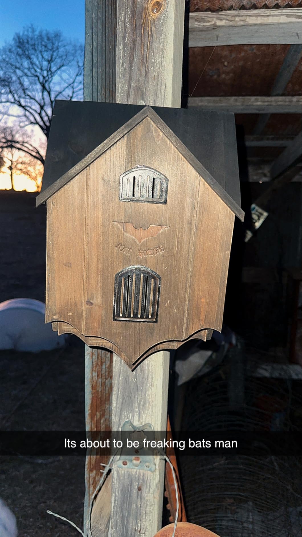 Bat House for Outdoors, Large Double Chamber, 100-Capacity | Bat Box for Backyard to Attract Bats, Wooden Bats Shelter for Outside for Tree, Weather-Resistant, Easy to Hang, Black Brown customer photo 2