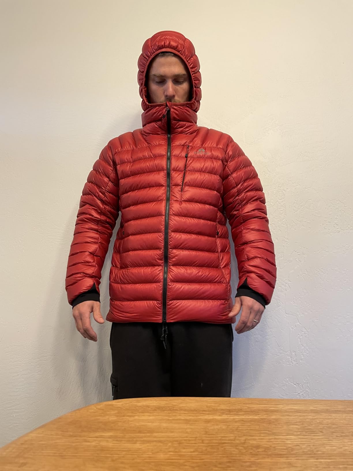 850 Fill Goose Down Jacket Men Lightweight Packable Puffer Jacket with Hood Insulated Warm Winter Puffy Coat customer photo 2