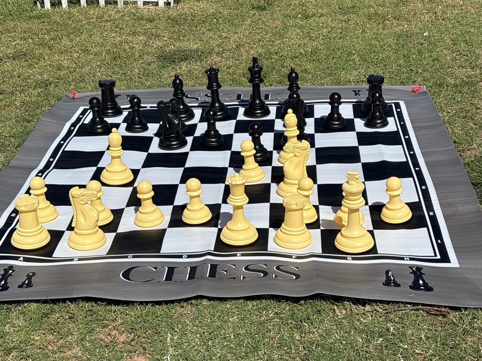 RAINBOW TOYFROG King Size Giant Chess Set with 10 Inch Pieces - Oversized Plastic Chess Game for Indoor/Outdoor Use with Waterproof Mat and Storage Box customer photo 2