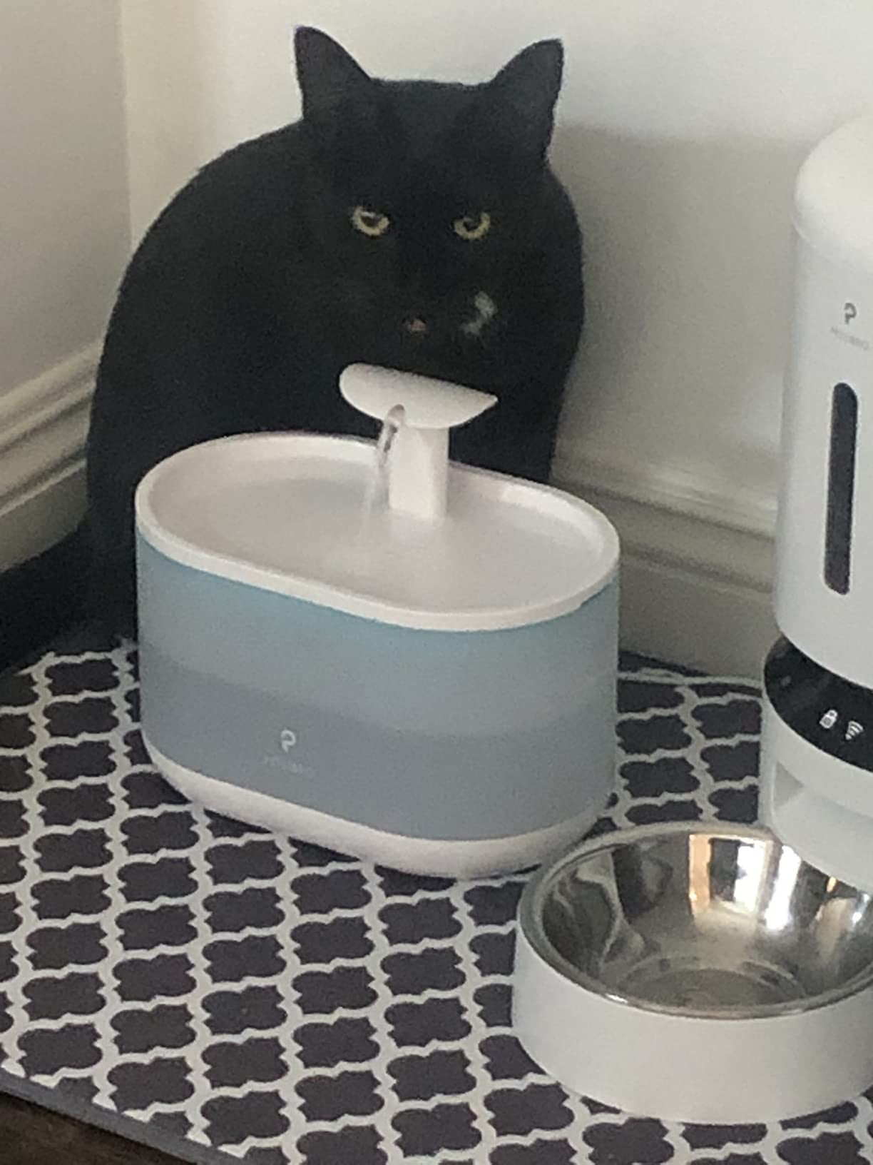 PETLIBRO Upgrade Cat Water Fountain Stainless Steel Tray, Dockstream 2 Cat Fountain Indoor, 3L/101oz Auto Cat Fountains for Drinking, App Monitoring Pet Water Fountain Dog, 5G WiFi customer photo 2