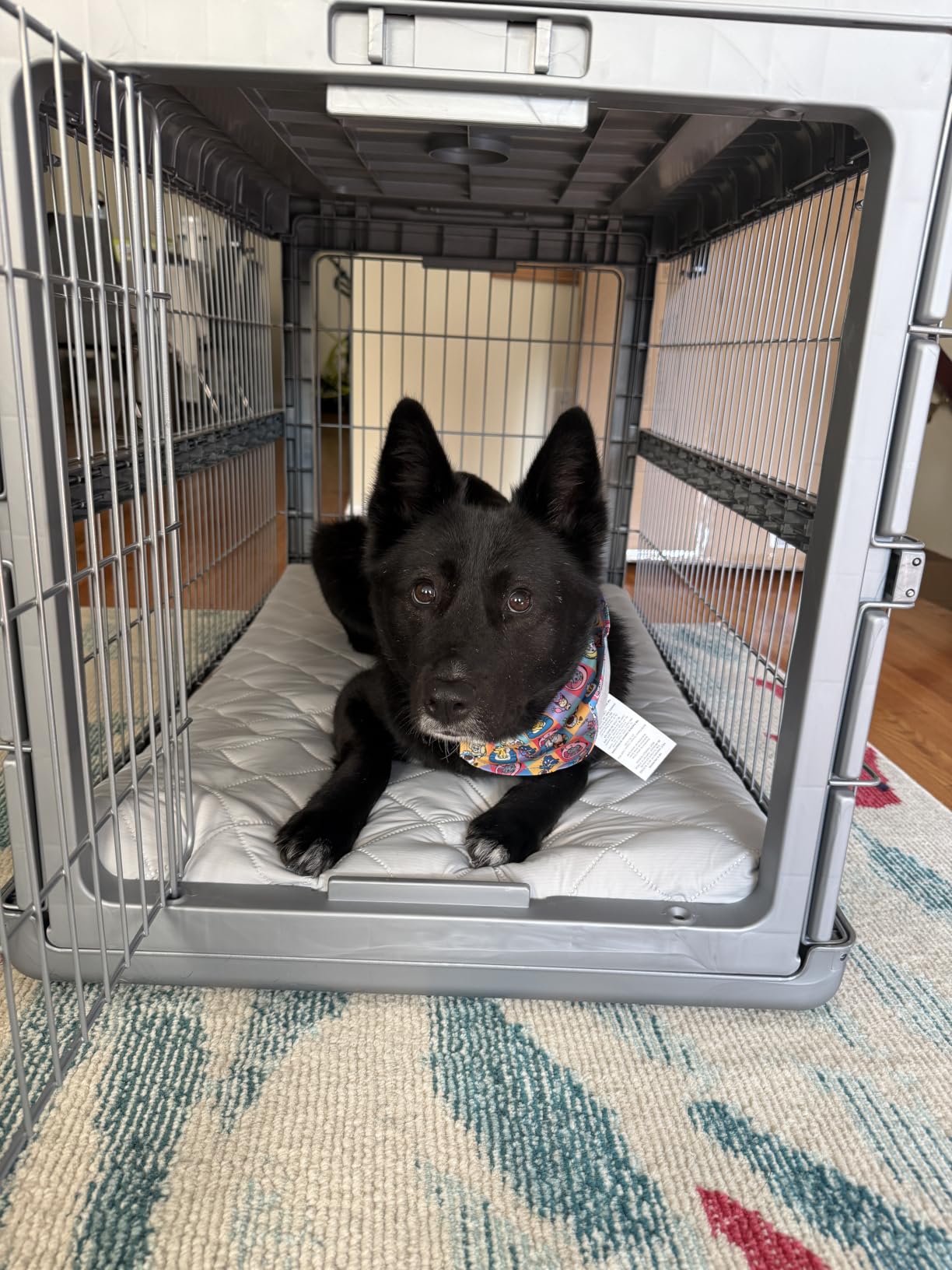 ZOMISIA Collapsible Dog Crate for Dogs - 28