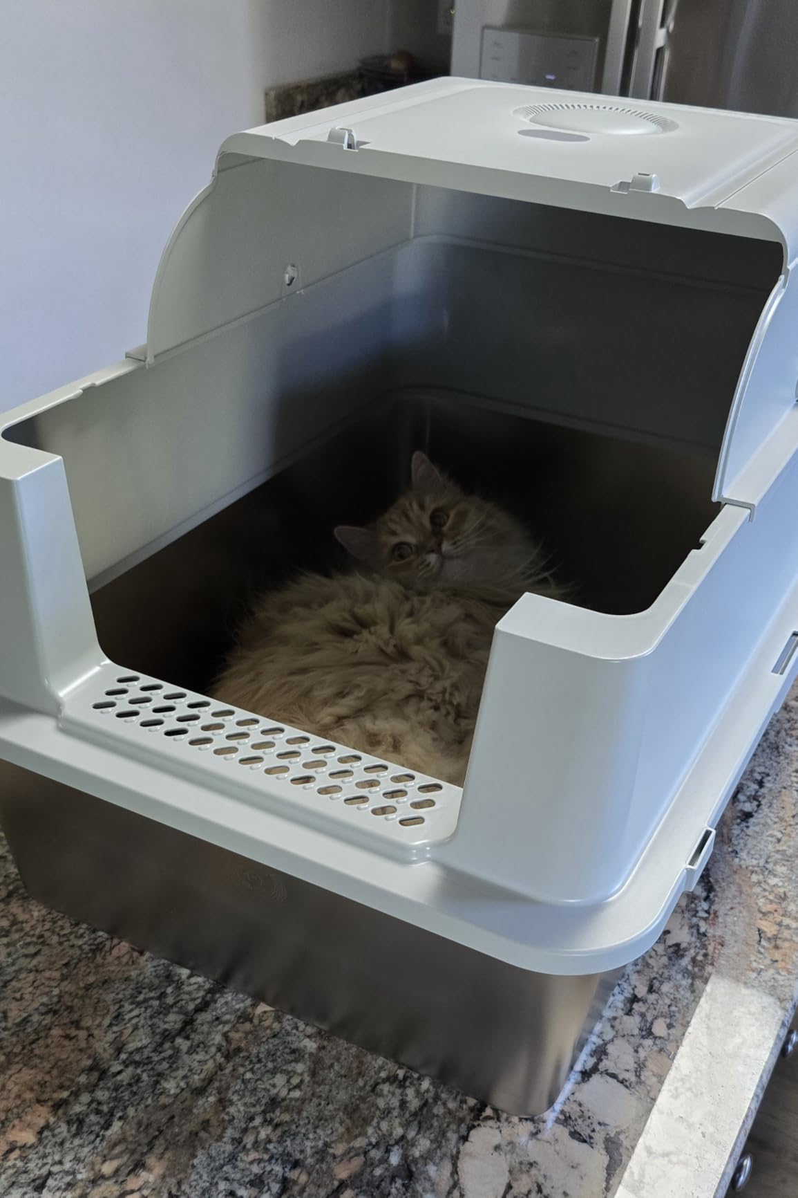 XXXXL Jumbo Stainless Steel Litter Box with Lid for Maine Coon customer photo 1