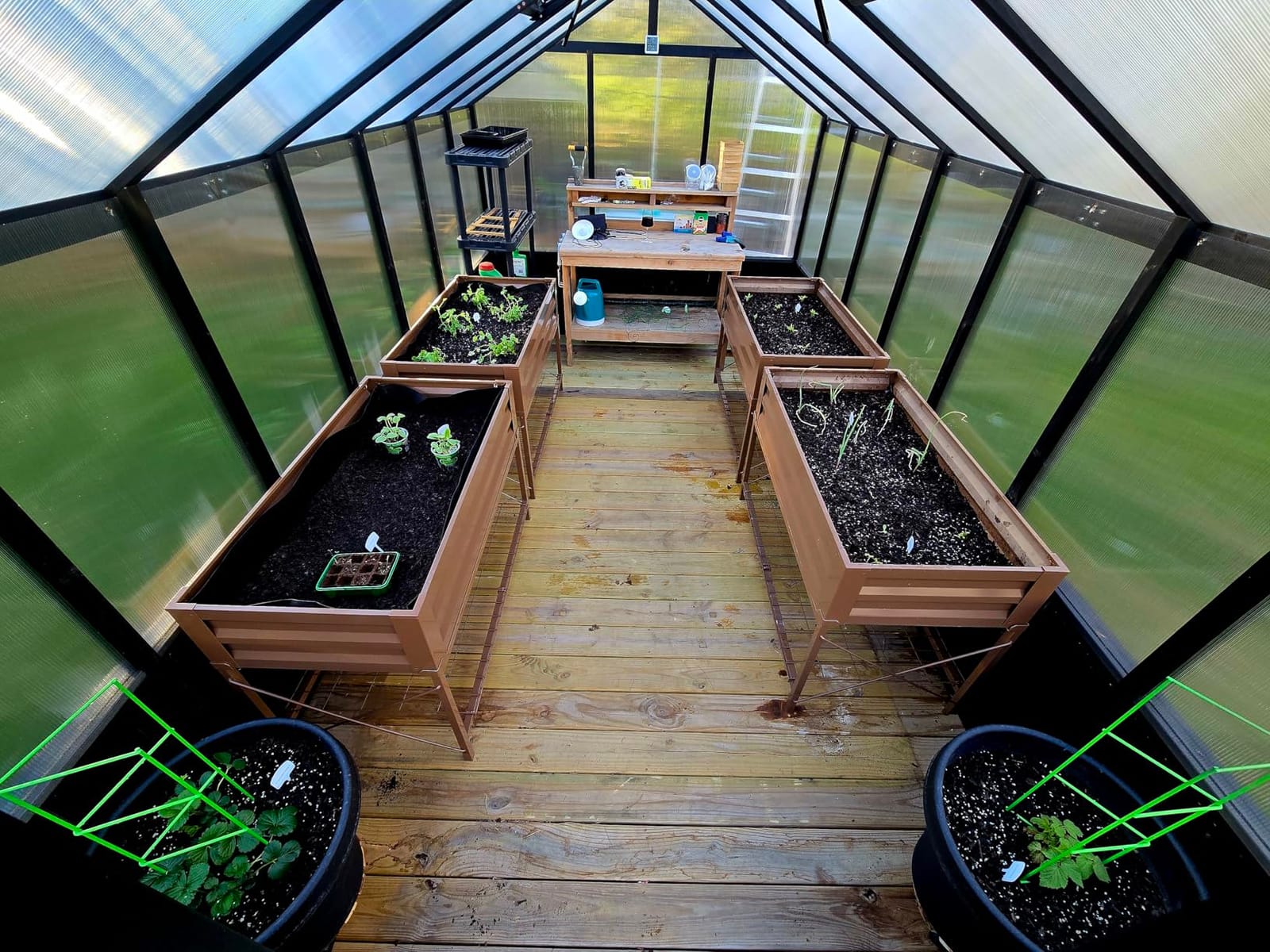 Yardenaler 8x10 FT Greenhouse Kit with 6MM Thick Polycarbonate Panel for Outdoor, Wooden Walk-in Green House with Adjustable Roof Vent and Lockable Door, Backyard, Garden, Light Mocha Brown customer photo 2