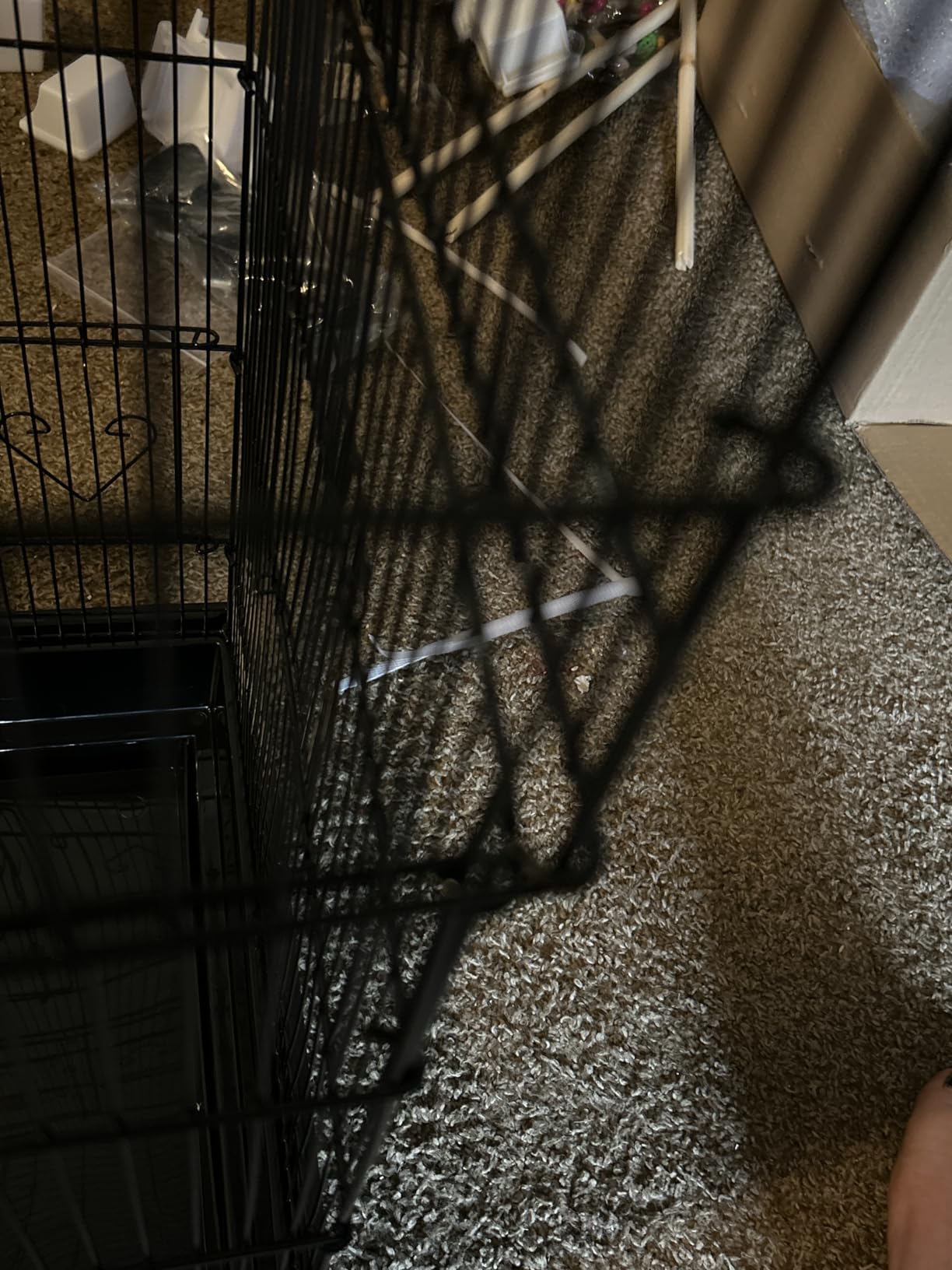YITAHOME 62 Inch Large Bird Cage | Bird Cage with Rolling Stand, Feeding Doors & Hanging Accessories for Parrots Cockatiels Parakeets customer photo 1