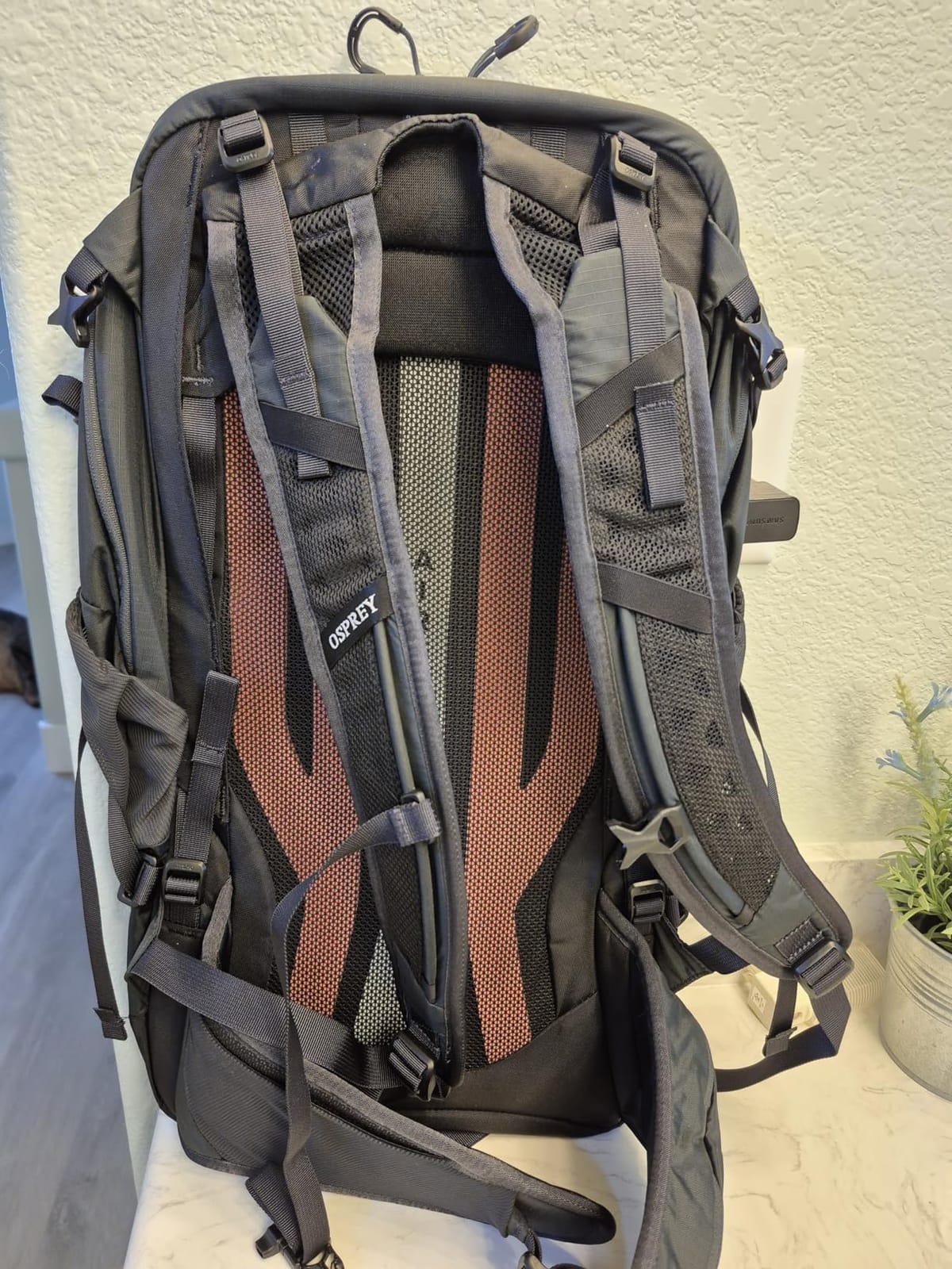 Osprey Sportlite 20L Lightweight Hiking Backpack customer photo 1