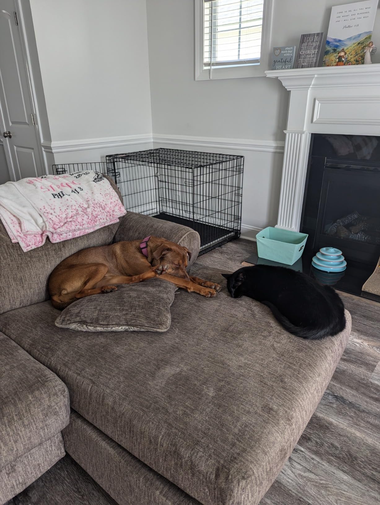 K9 Ballistics Chew Proof Armored Padded Dog Crate Bed, L, Obsidian Black | Virtually Indestructible Pad for Aggressive & Anxious Chewers, Comes Preassembled, 41