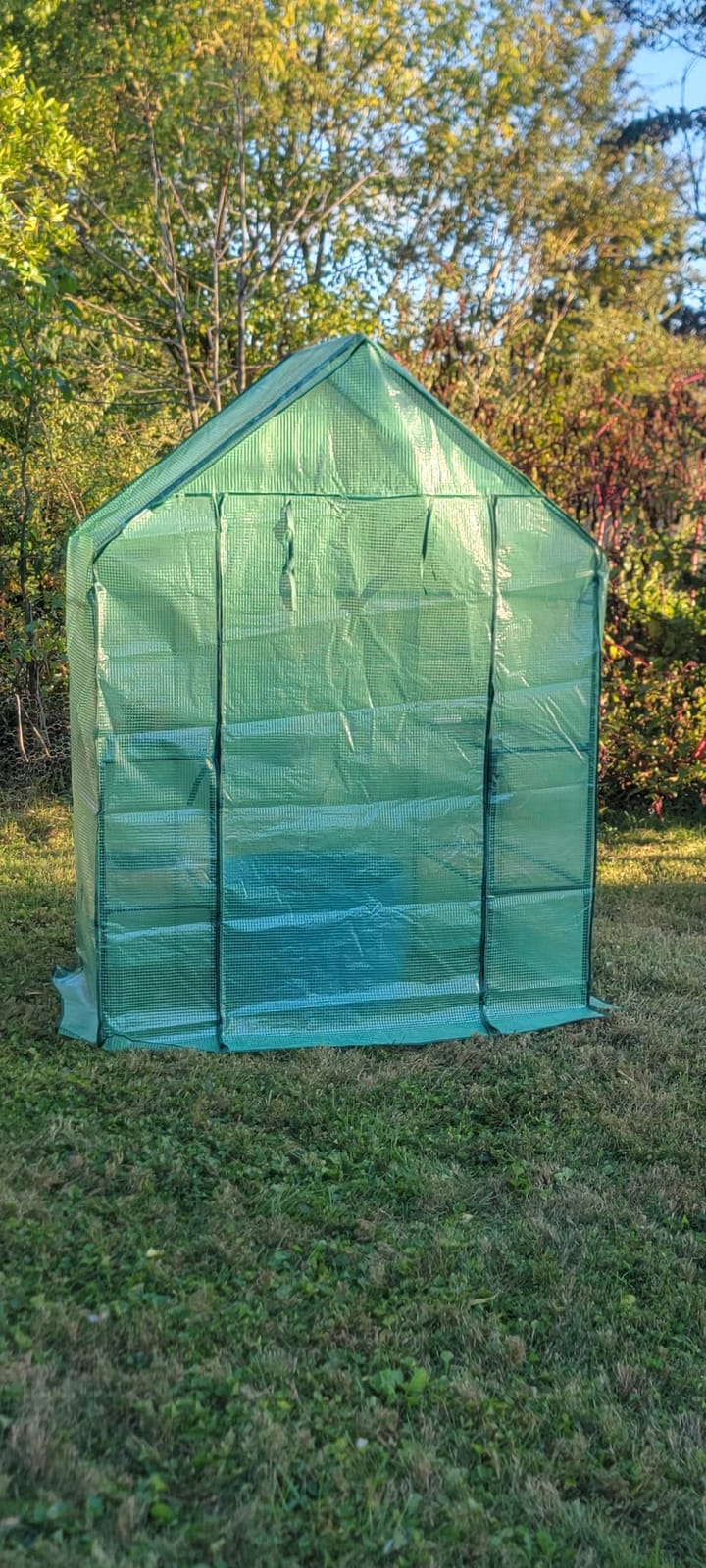 Small Greenhouse for Outdoors, Walk-in Plant Greenhouse with 8 Shelves | Portable Greenhouse Kit, Reinforced PE Cover, Steel Frame, Tool-Free Setup, Free Thermometer & Hygrometer for Seed Starting customer photo 2