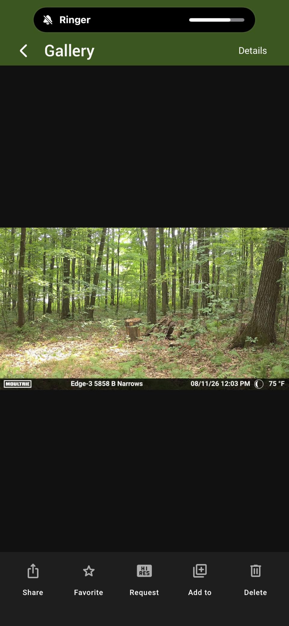 Moultrie Edge 3 Cellular Trail Camera with 3.4W Solar Power Pack - 40MP customer photo 1