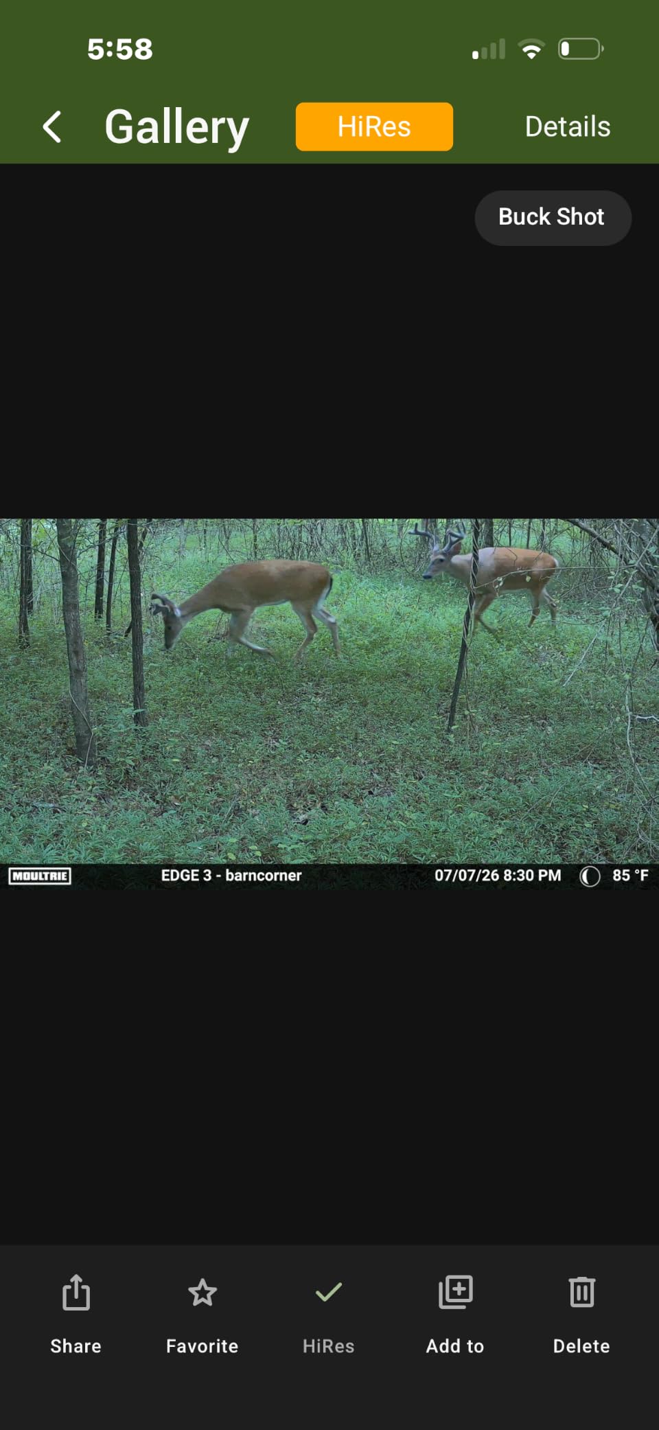 Moultrie Edge 3 Cellular Trail Camera - 2-Pack, 40MP, 0.5s Trigger | Scout from Anywhere, HD photos via Mobile app, 1080p video, multi-carrier, low-glow flash, GPS, Two Pack customer photo 1