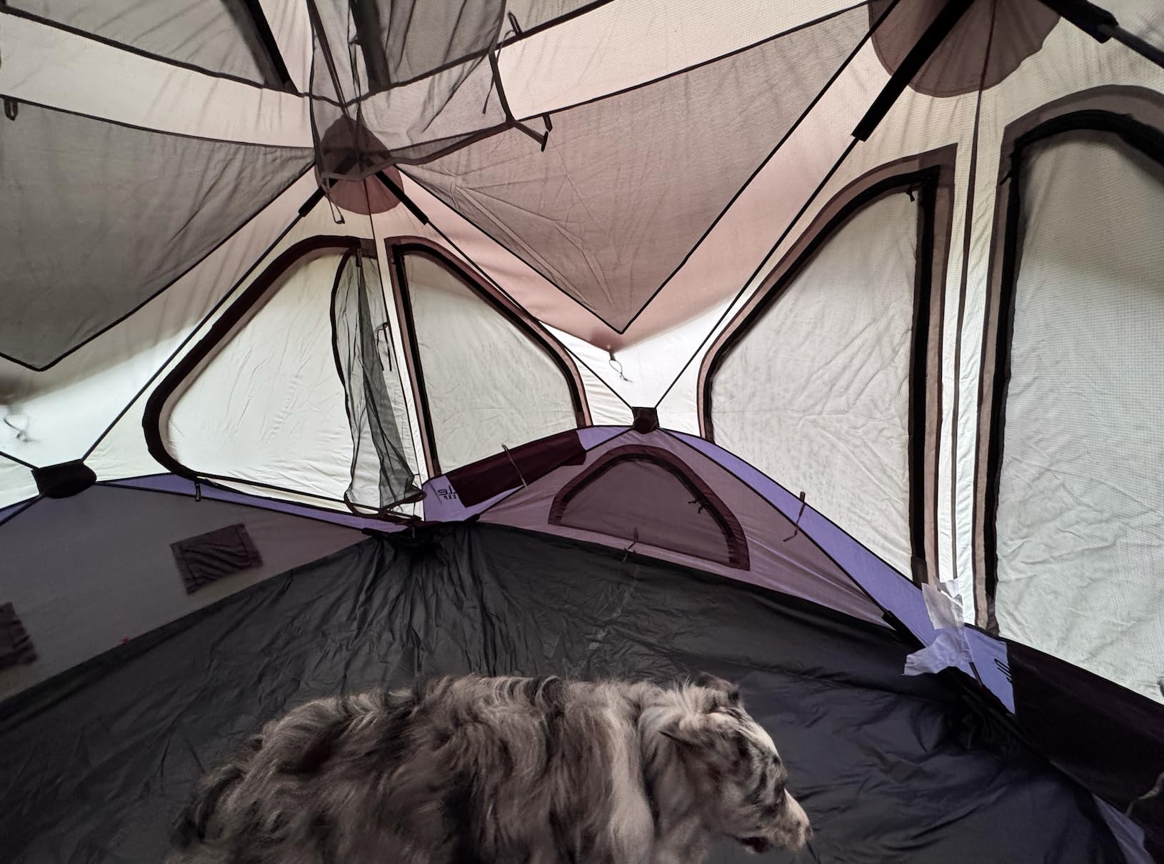 Gazelle Tents T4 Overland EXP Hub Tent, Extended Season Camping Tent, Sleeps 4, Pop-Up Hub Tent, Durable Ripstop Fabric customer photo 1
