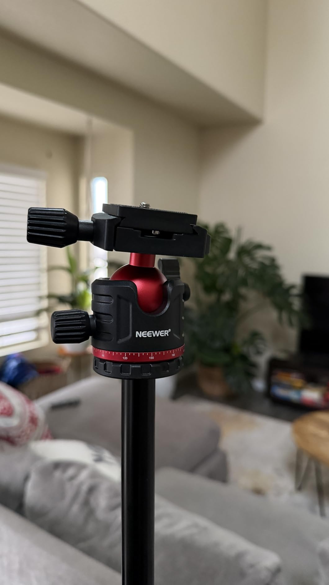 NEEWER Basics 66.5/169 cm Travel Tripod for Camera, Lightweight Portable DSLR Stand with Ball Head, Arca Type QR Plate, Cell Phone Holder Compatible with iPhone Video Recording, Max Load 11 lb, TP12 customer photo 1