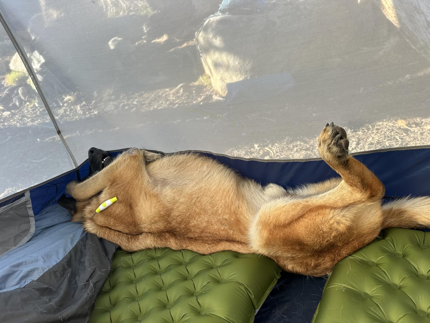 TREKOLOGY Sleeping Pad for Camping - Ultra-Lightweight, 4