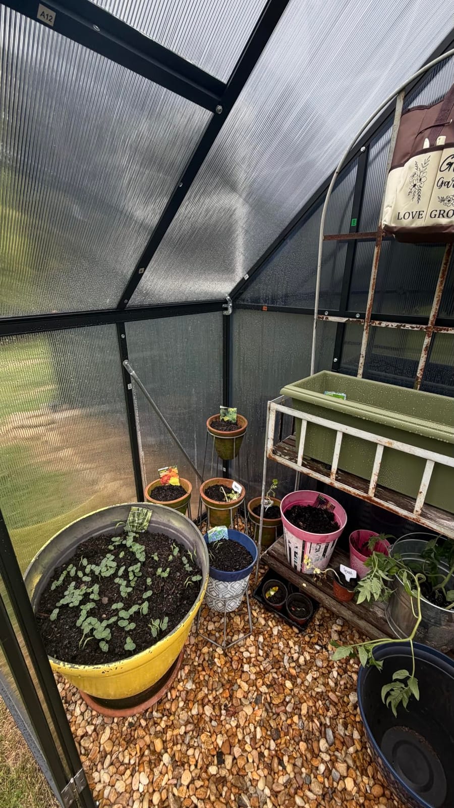 6X4FT Enhanced Aluminum Small Greenhouse for Outdoors with Thermometers | Easy Assembly, UV-Resistant Panels, Built-in Reinforcement, Lockable Sliding Door, Roof Vent, For Vegetable, Flower and Herb customer photo 1