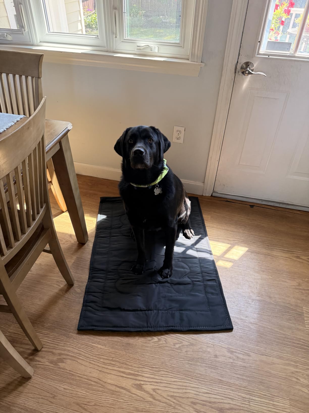 Chew Proof Indestructible Dog Crate Pad, Large (28