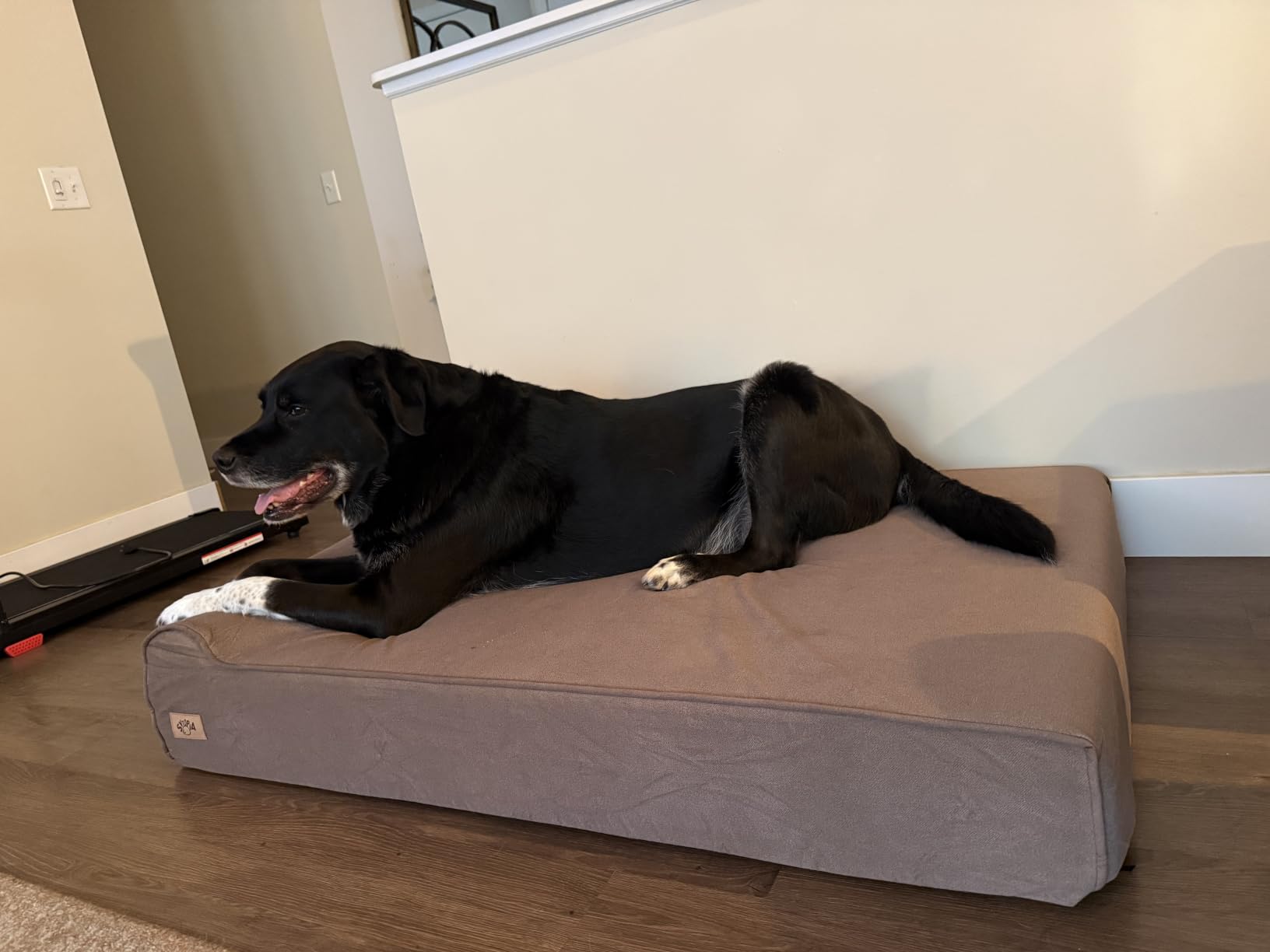 Sytopia Orthopedic Dog Beds for Extra Large Dogs, 7