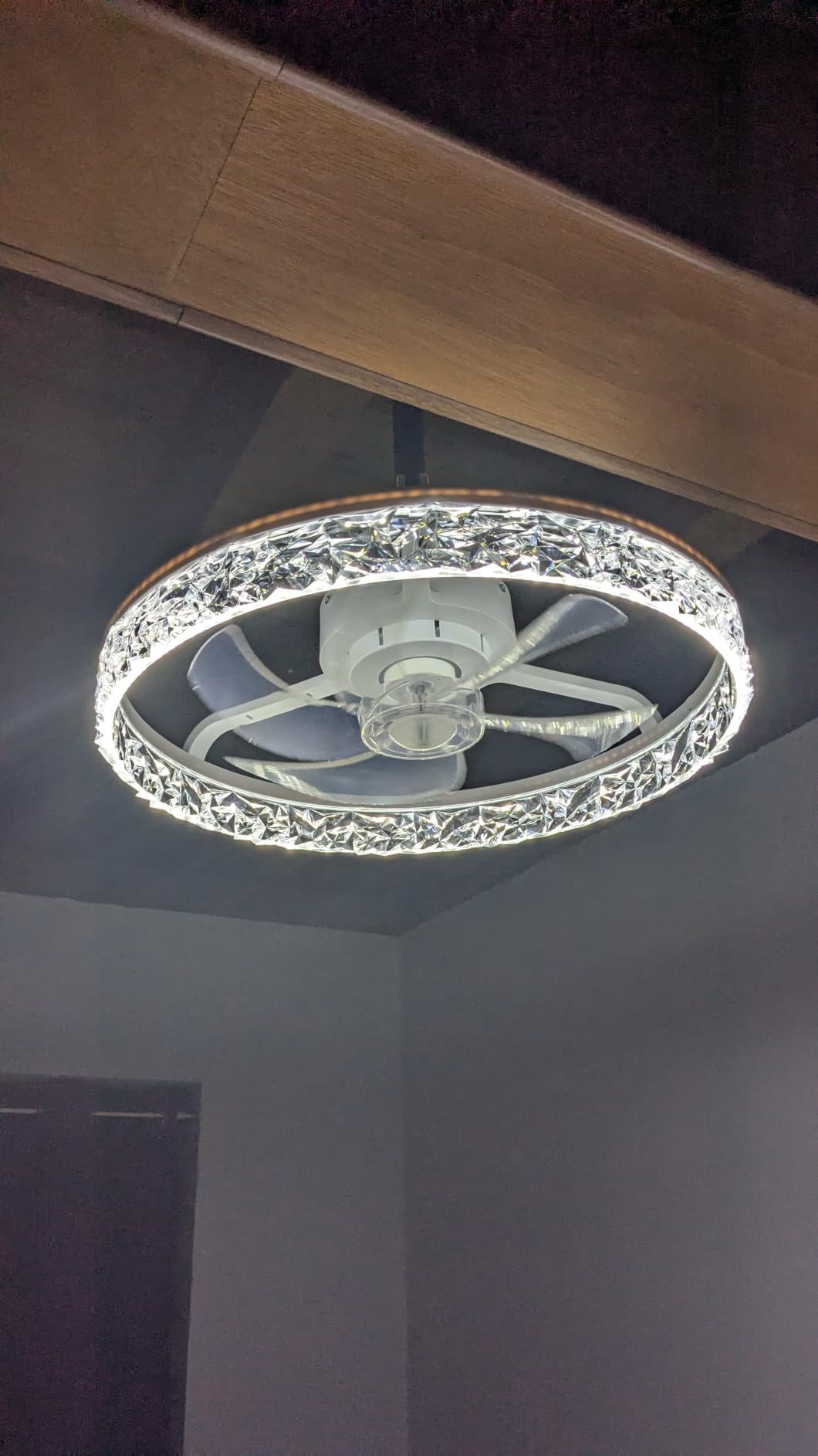 Depuley Modern Ceiling Fan with Light: 19
